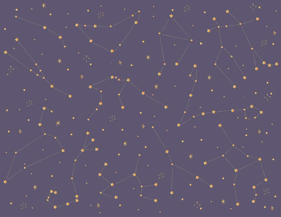 Astrology Predictions by Zodiac Sign