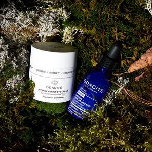 Odacité's Gifting You with the Power of AI