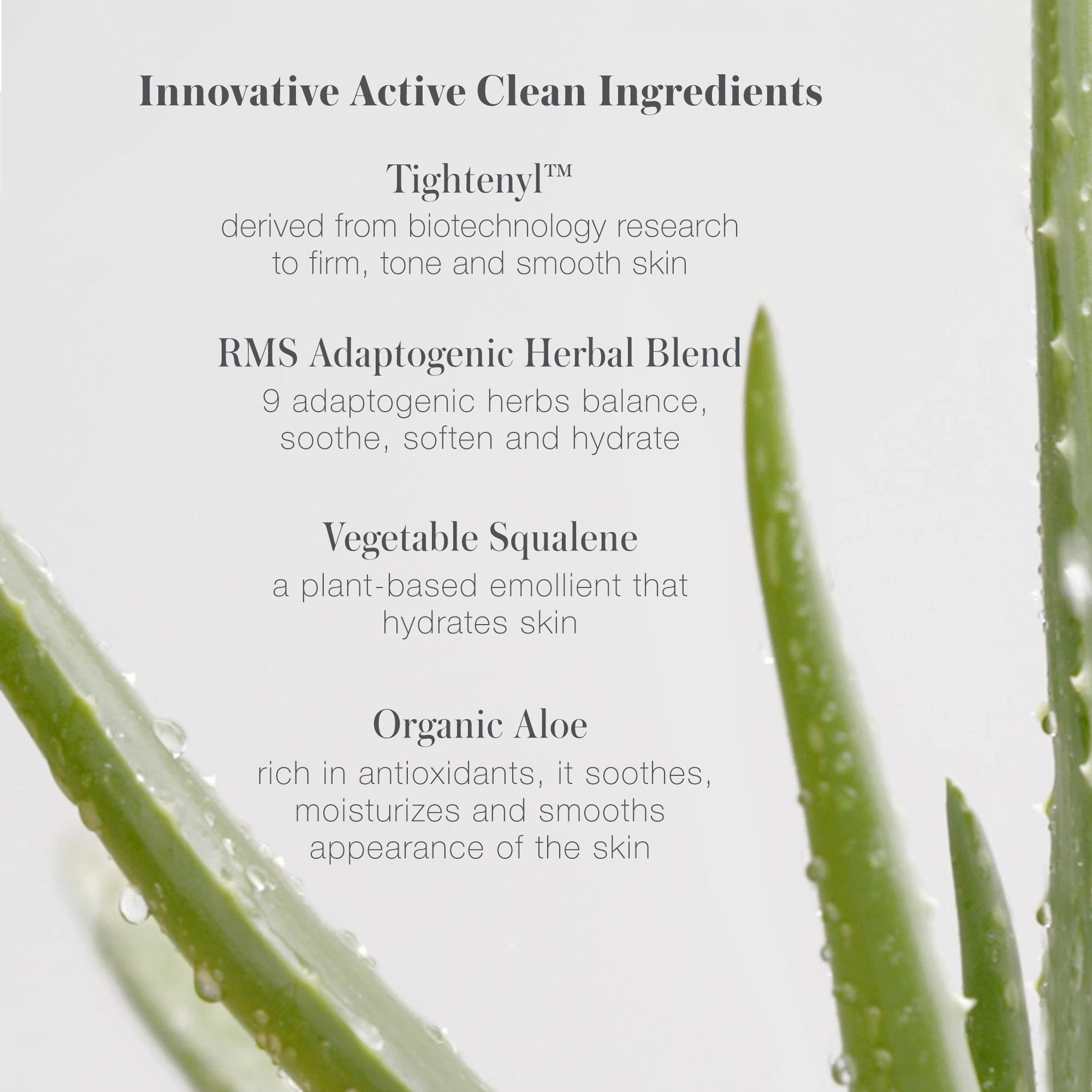 ReEvolve Natural Finish Foundation Refill - Makeup - RMS Beauty - KeyIngredients_ef5bf20c-f92f-4058-9099-62593e4c7c8b - The Detox Market | Always