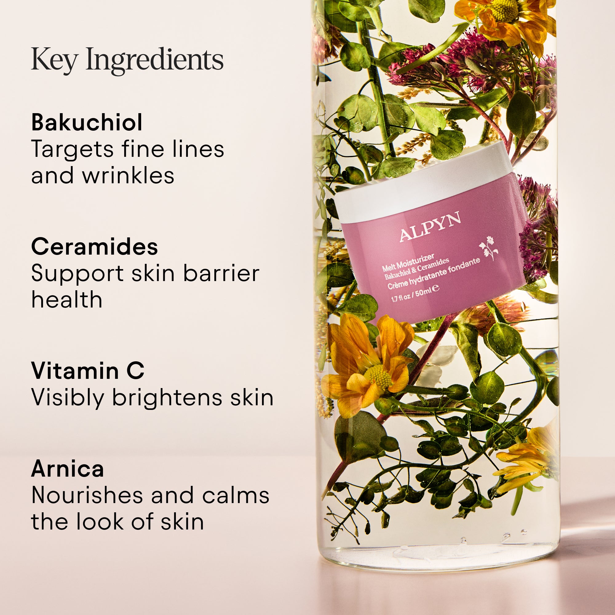 Alpyn Beauty-Melt Moisturizer-Skincare-2802007_MeltMoisturizer_9-The Detox Market | 