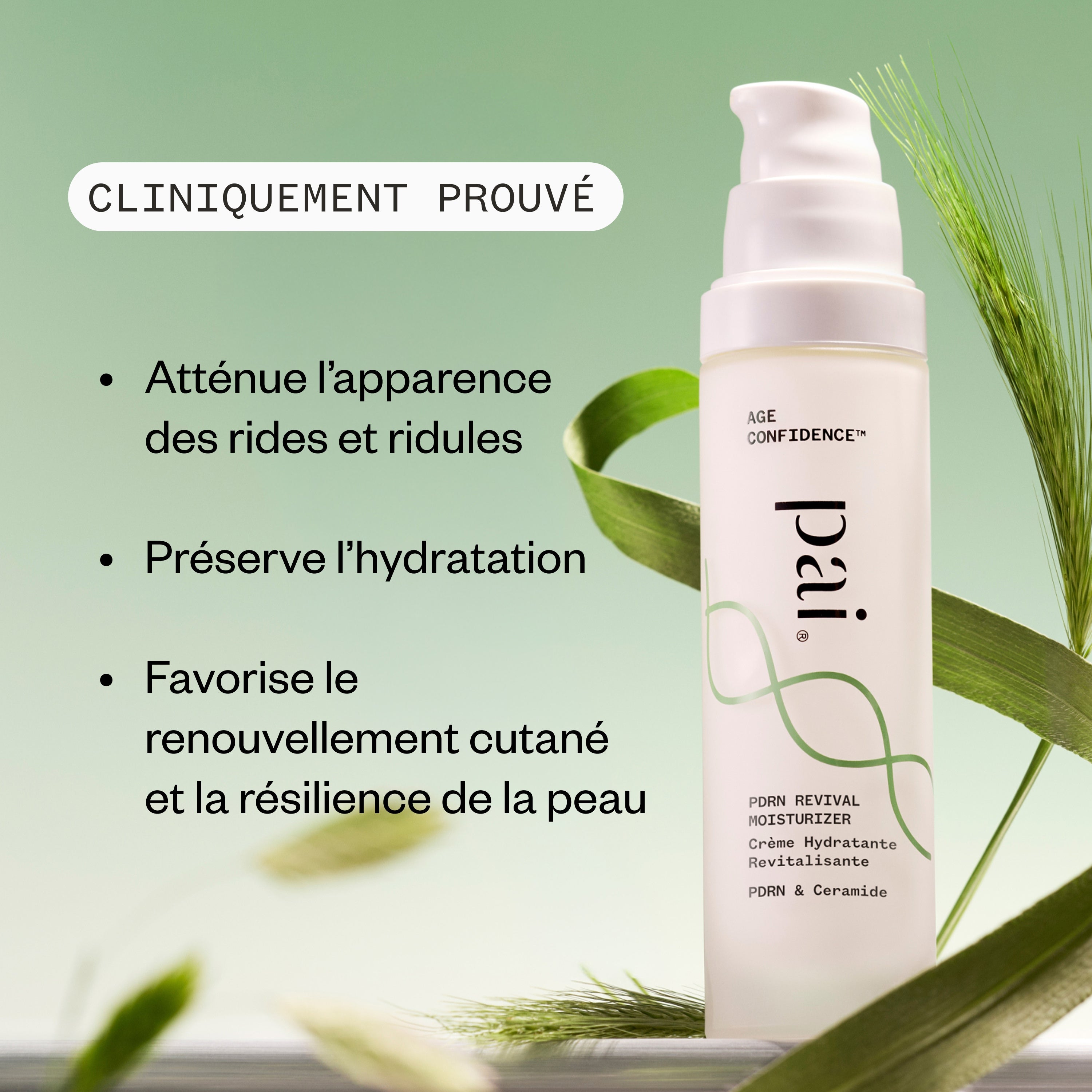 Pai Skincare-Pdrn Revival Moisturizer-Skincare-5061073640017_3-The Detox Market | 