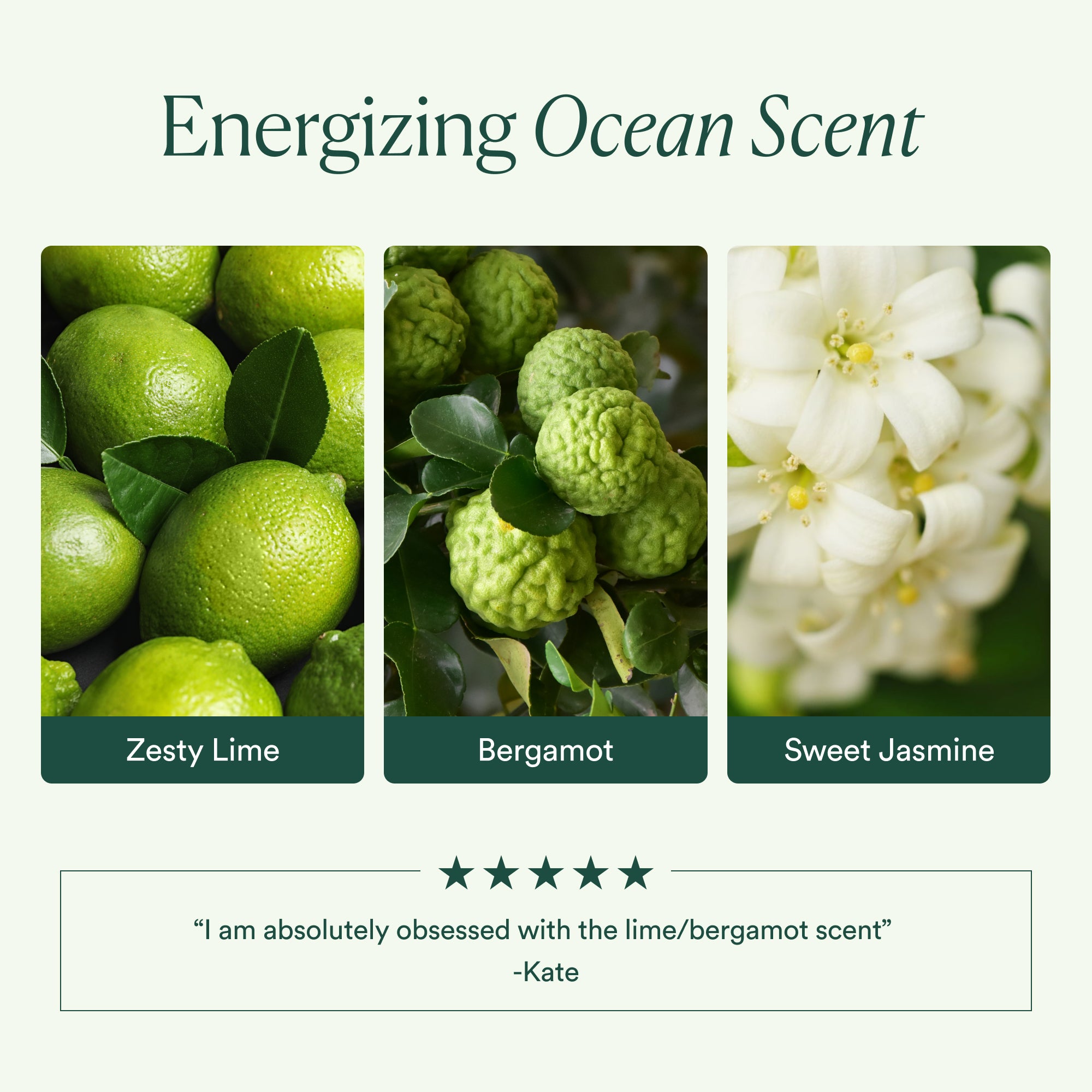 OSEA-Ocean Cleanser-Skincare-675468000031_06-The Detox Market | 