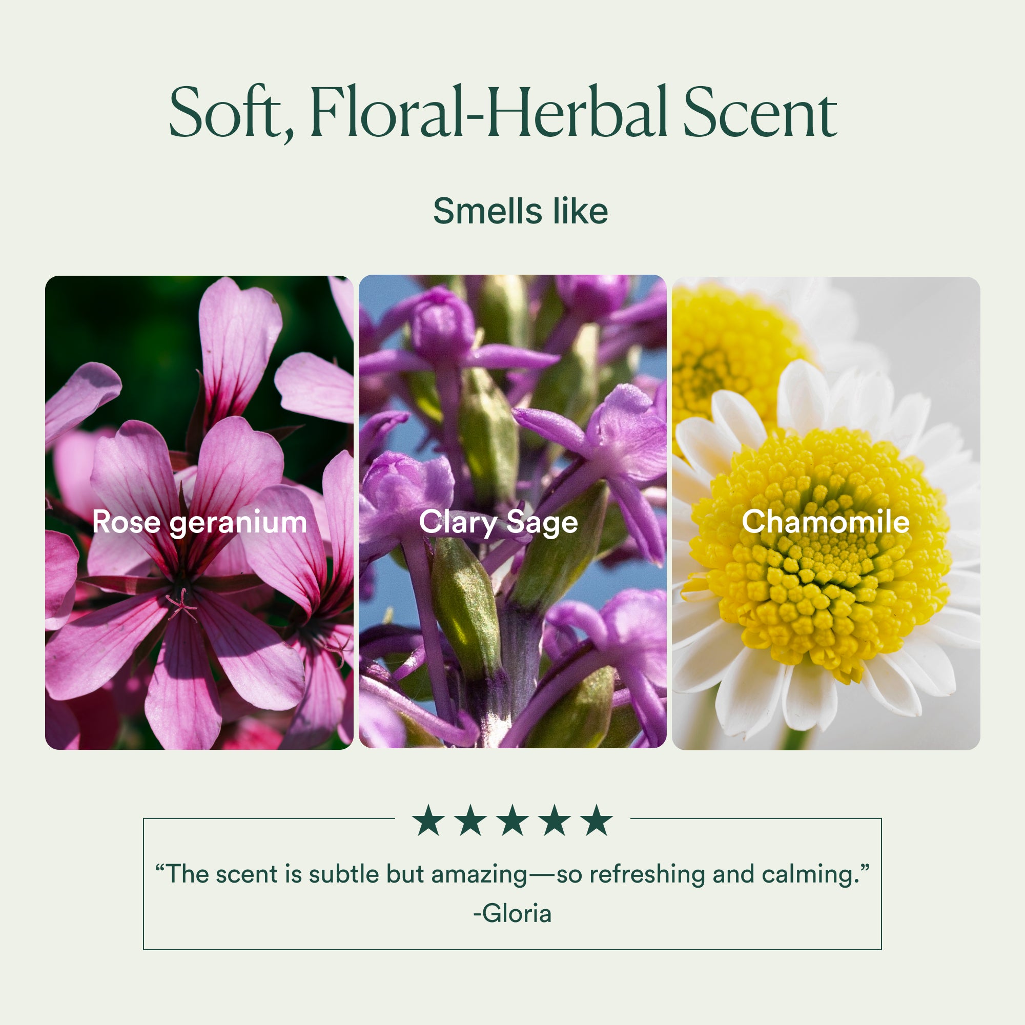 OSEA-Atmosphere Protection Cream-Skincare-675468000093_06-The Detox Market | 