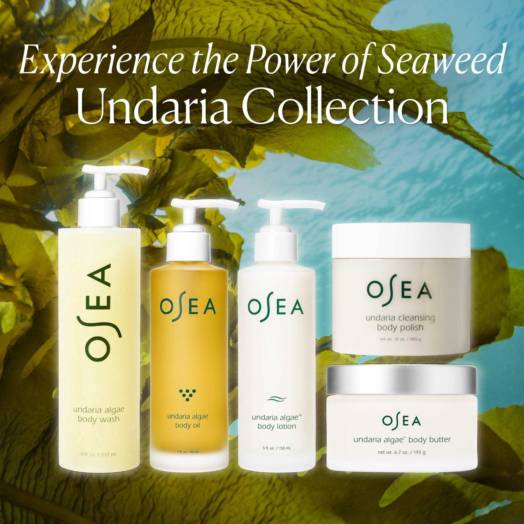 OSEA-Undaria Algae Body Oil-Body-675468000338_08-The Detox Market | 