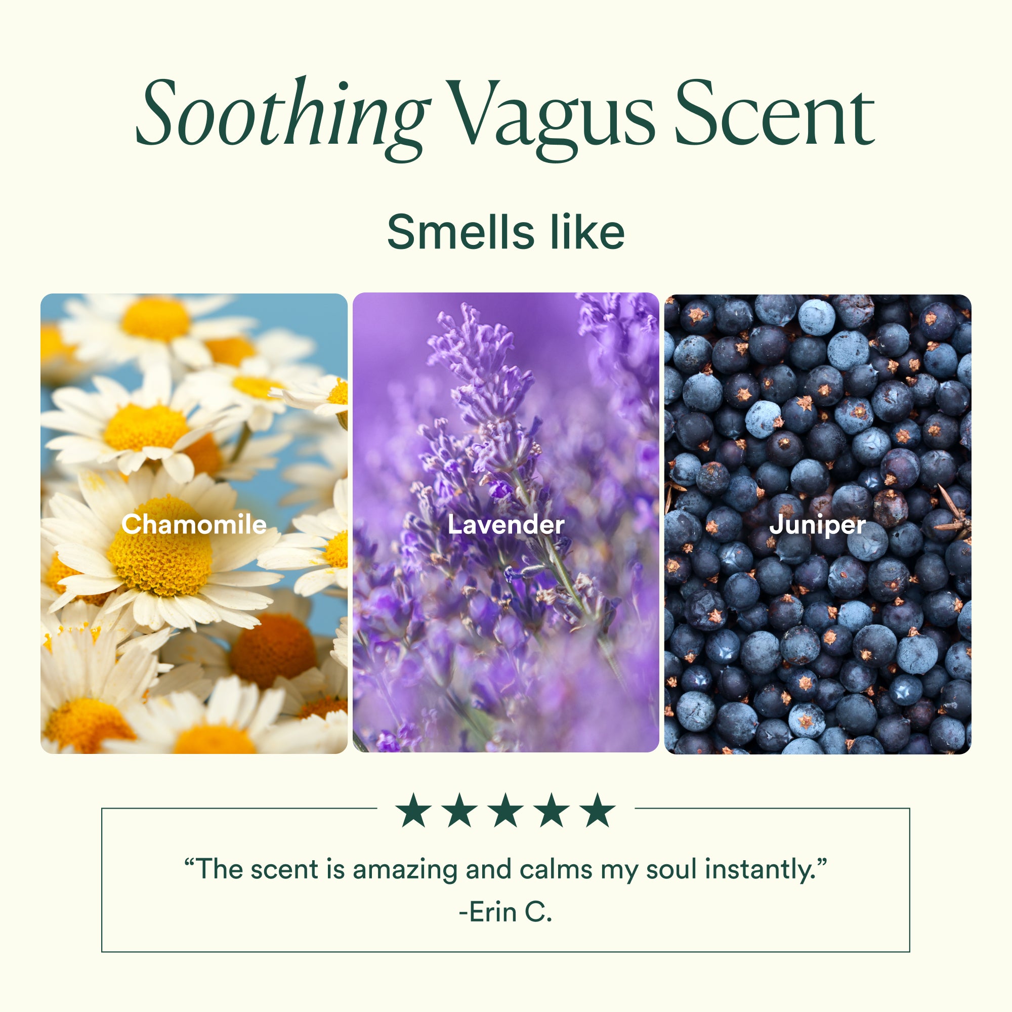 OSEA-Vagus Nerve Oil-Wellness-675468100809_06-The Detox Market | 