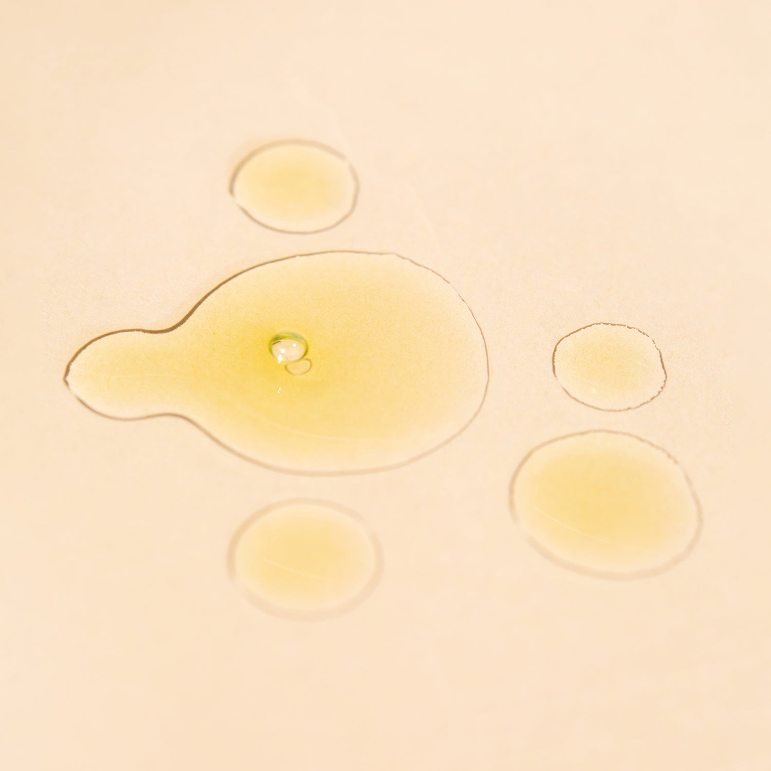 Wildcraft-Regenerate Face Serum-Skincare-896668000007-2-The Detox Market | 