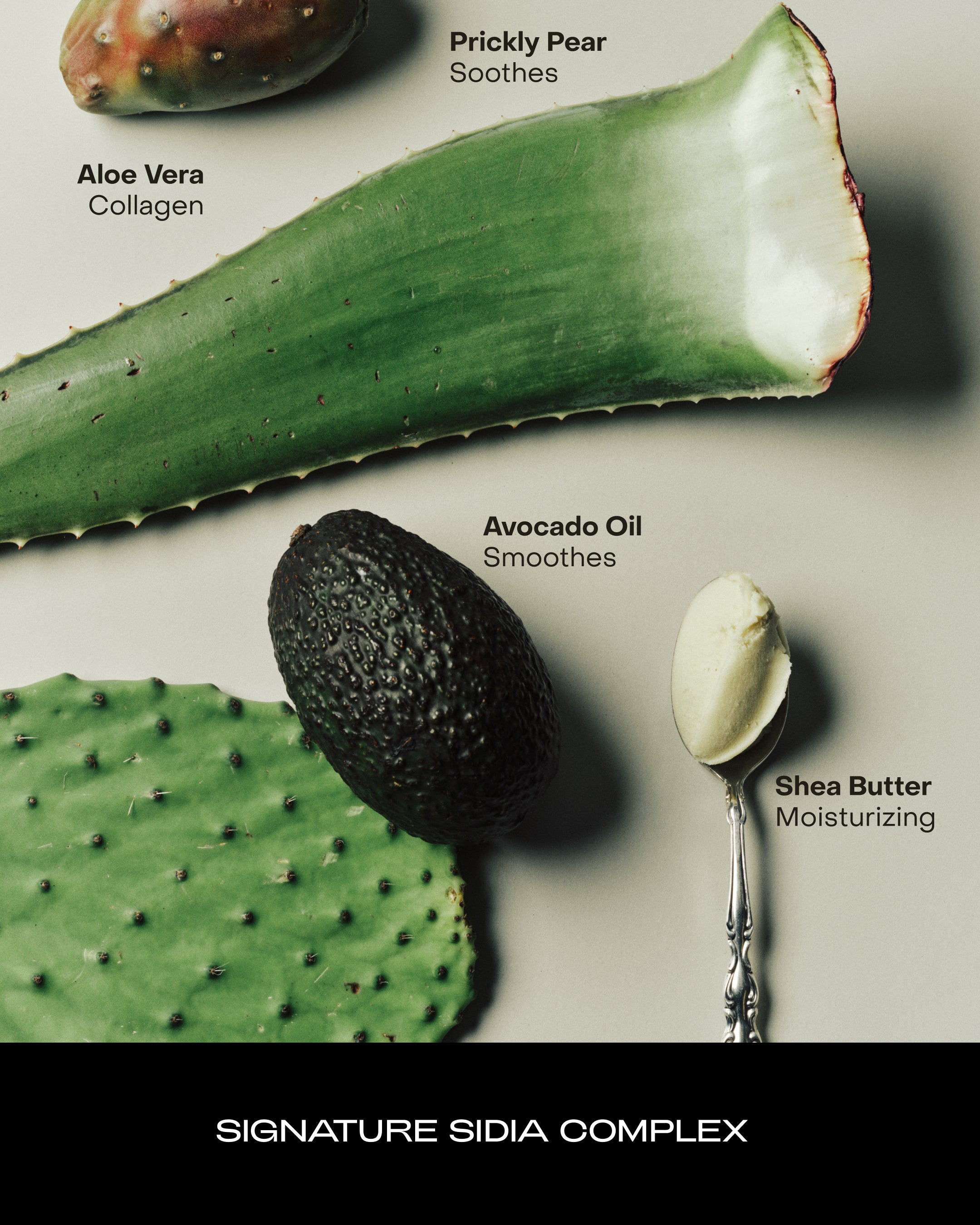 SIDIA-Midas: The Hand Serum-Body-BHSE00PT0-MD05-av-10_bfd7c041-56cd-4f69-ac05-ffef9bd4483e-The Detox Market | 