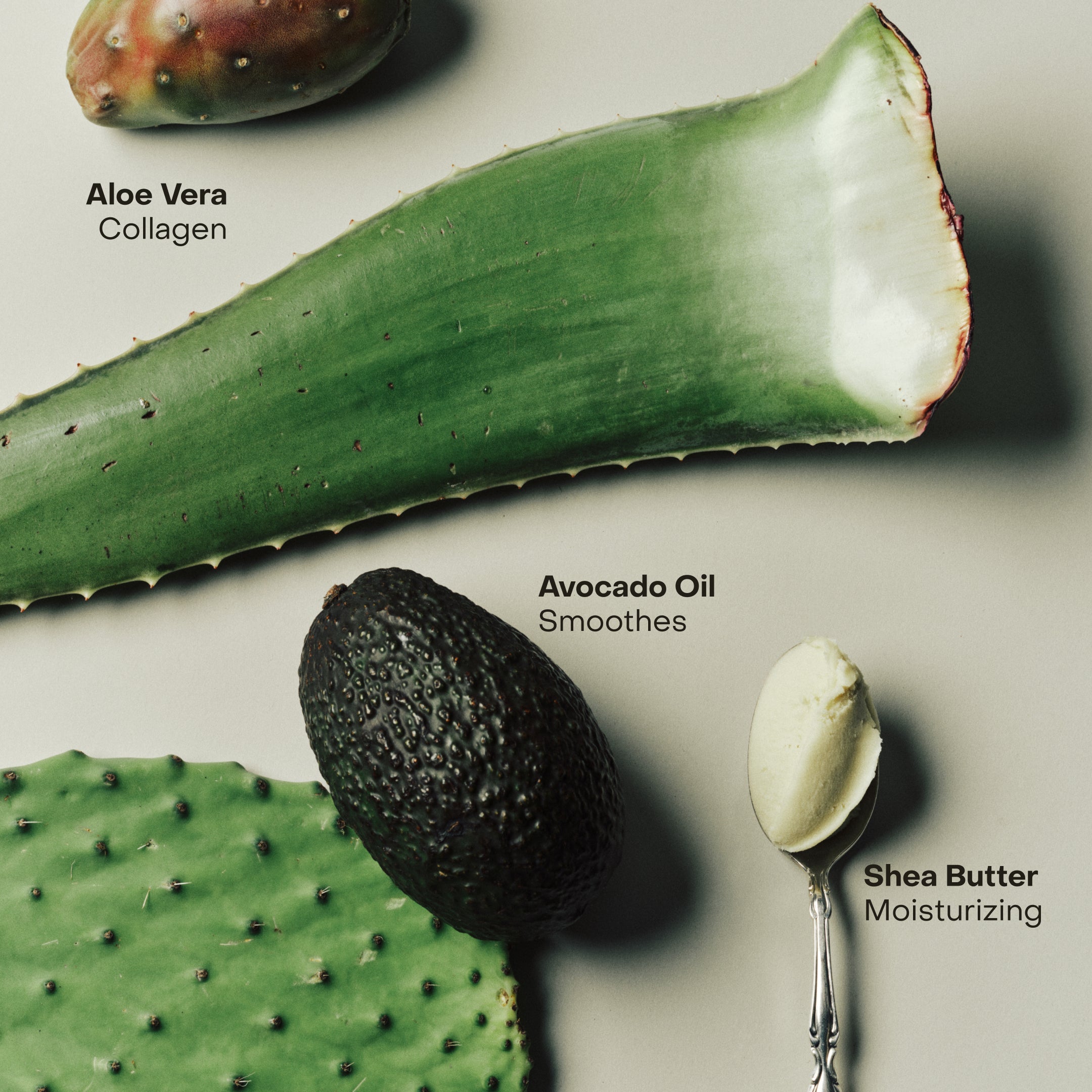 SIDIA-Braless: The Cream-Body-BSCR00P00-BR12-av-9-The Detox Market | 