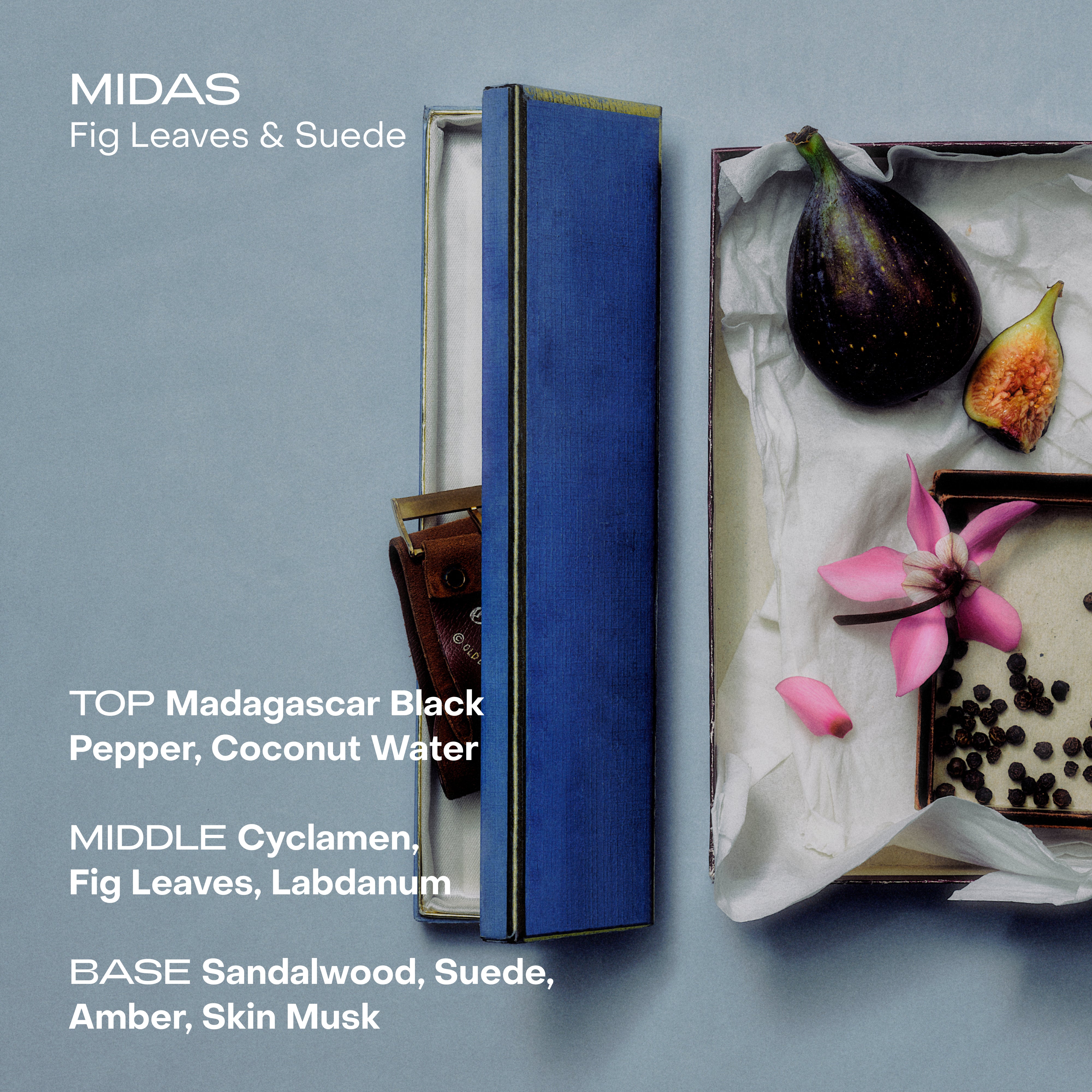 SIDIA-Midas: The Cream-Body-BSCR00P00-MD01-av-5-The Detox Market | 