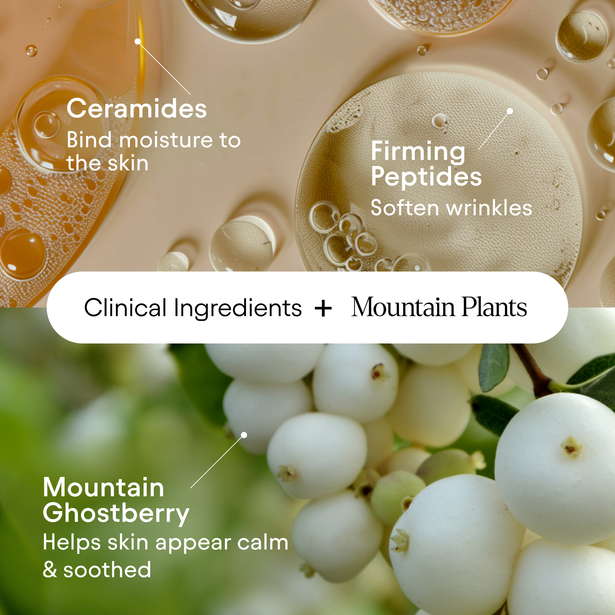 Alpyn Beauty-Barrier Repair Cream-Skincare-BarrierRepair6-The Detox Market | 