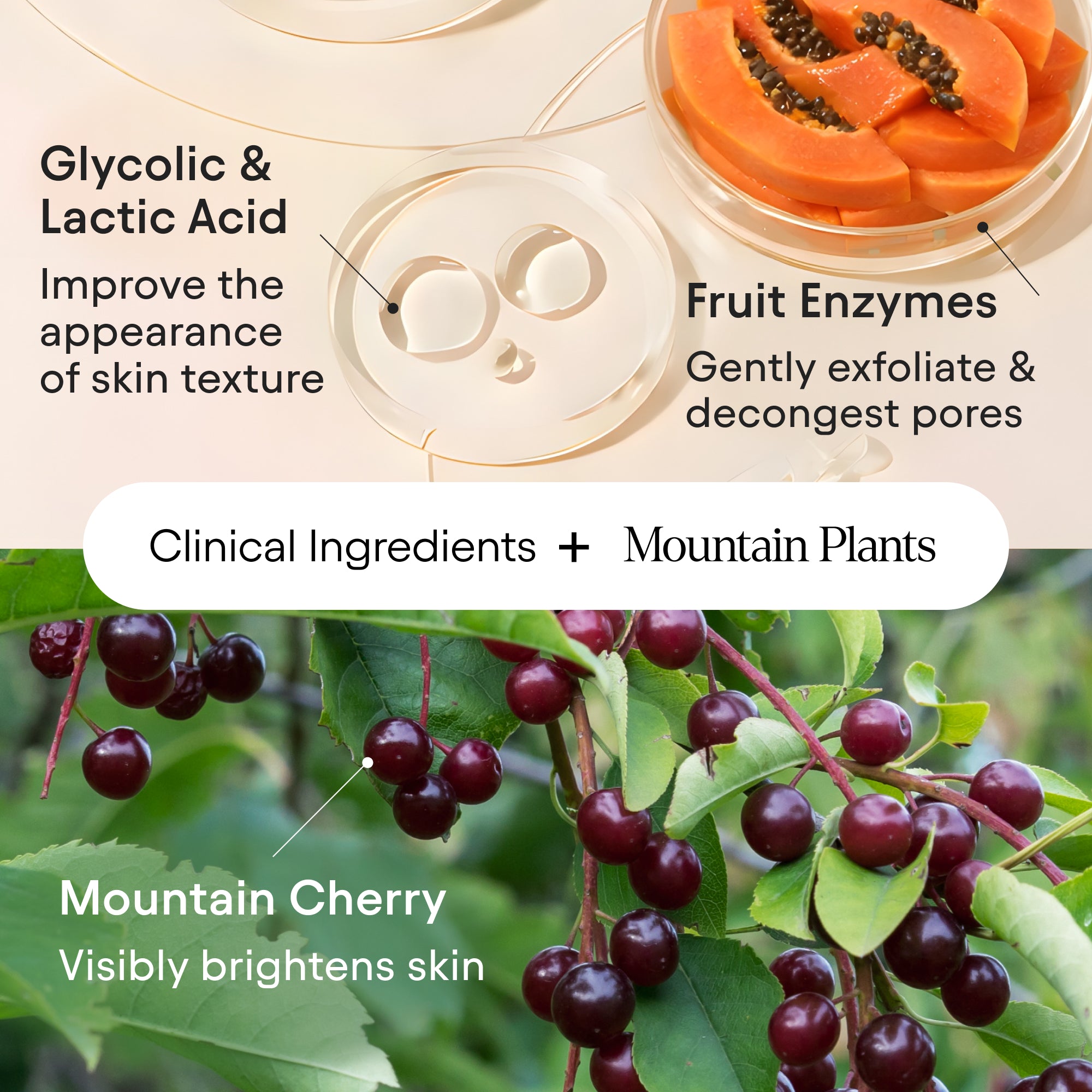 Alpyn Beauty-Brightening Bubbling Cleanser-Skincare-BubblingCleanser3-The Detox Market | 