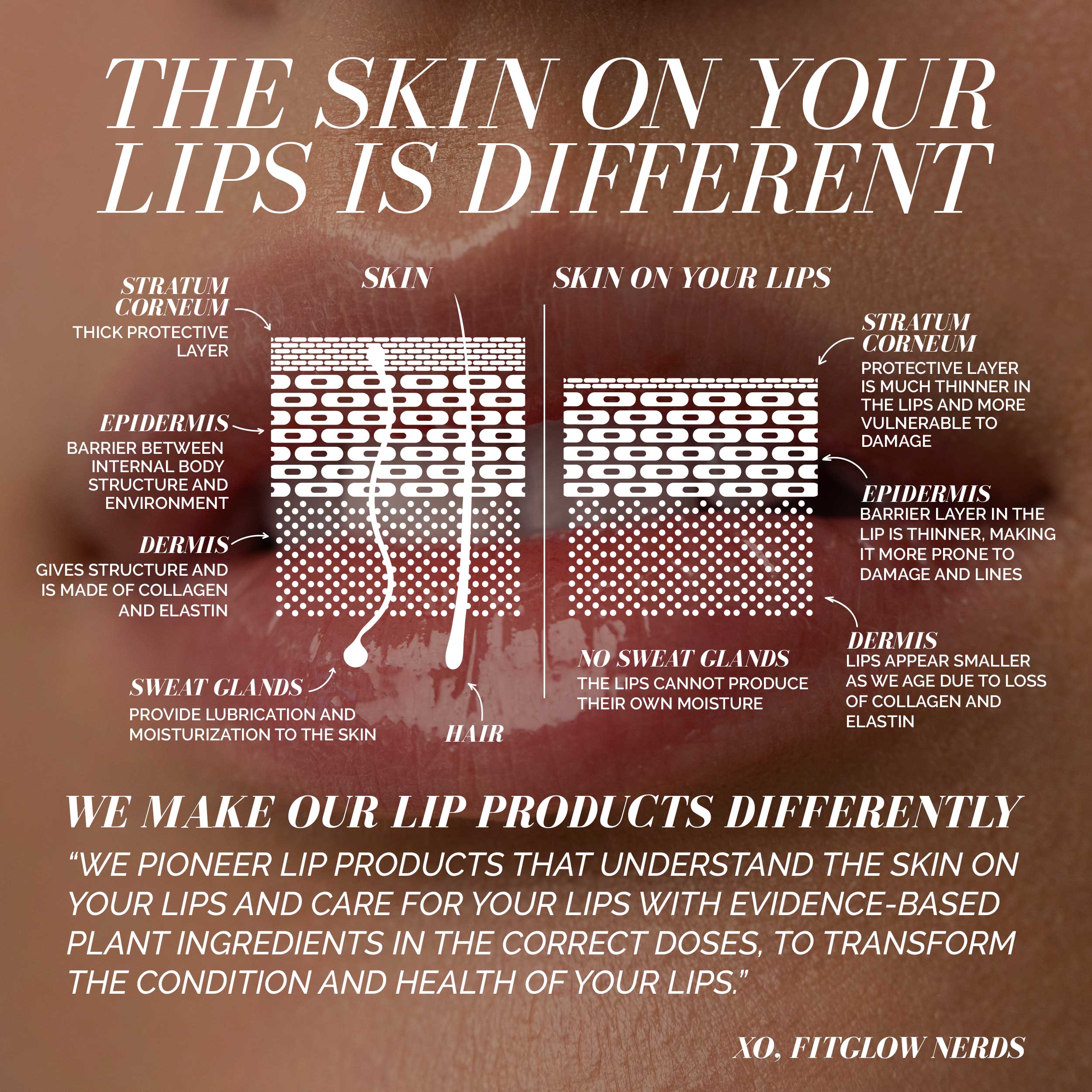 Fitglow Beauty-Ceramide Lip Hydra Balm-Makeup-CeramideHydraBalm_ceramide-hydra-balm_b2b-p_creative-6-The Detox Market | Always