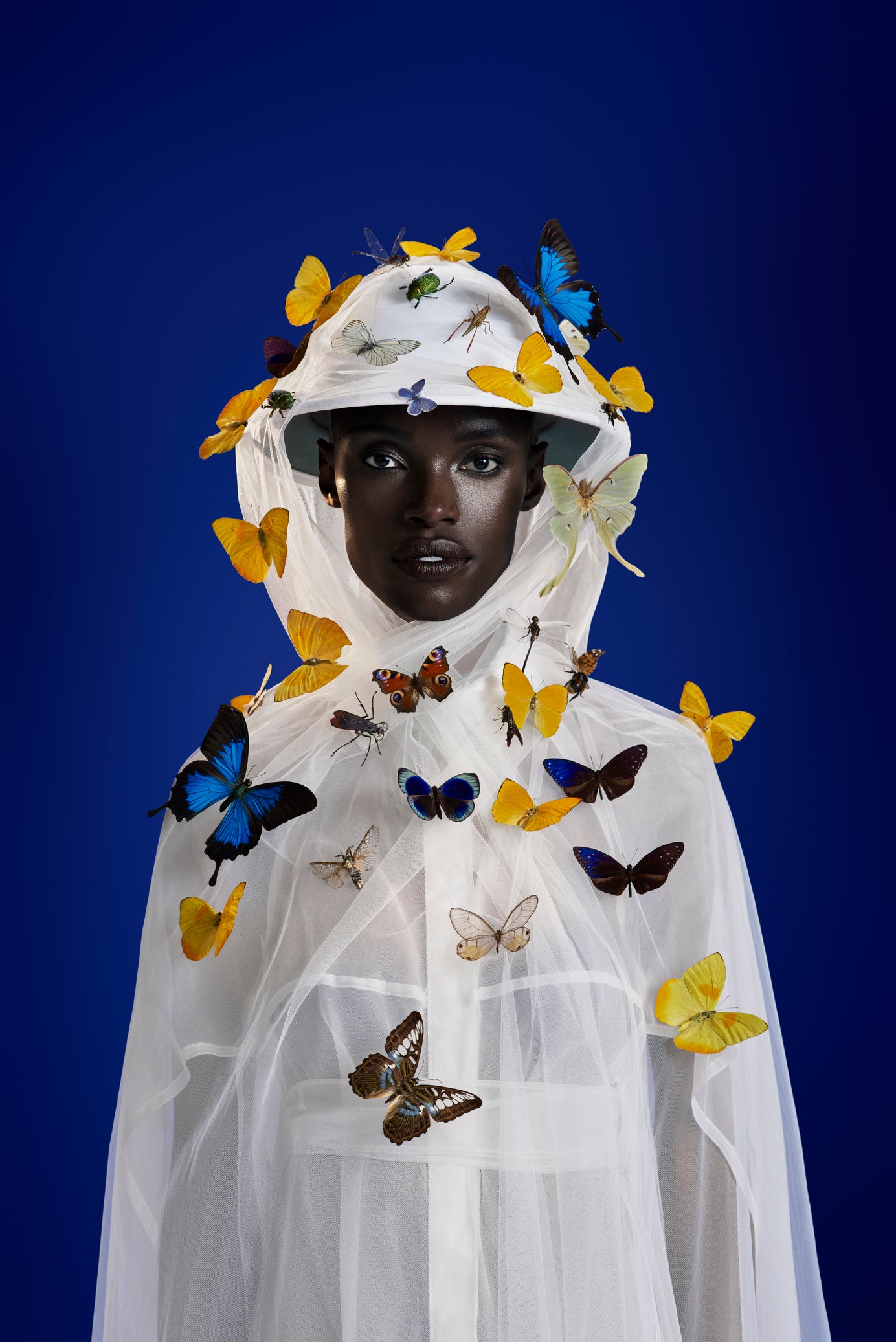 Heretic Parfum-The Entomologist Candle Set-Home-Entomologist-Model1-The Detox Market | 