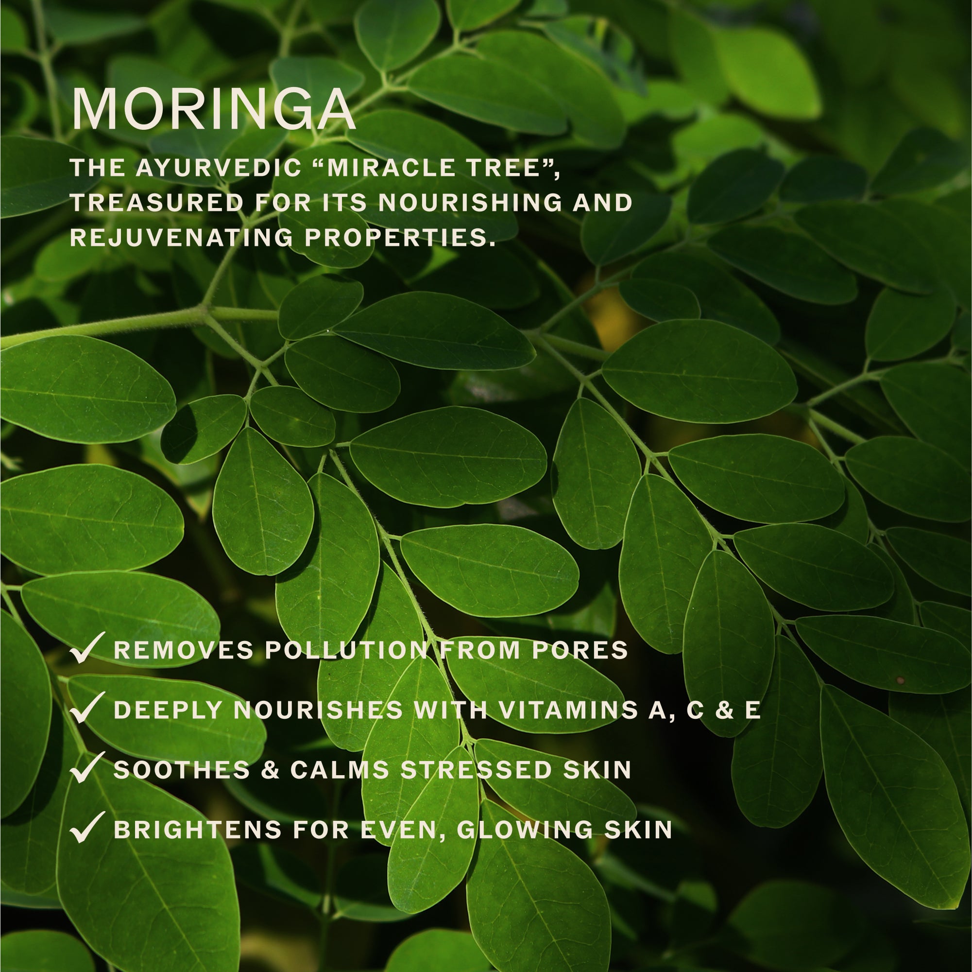 Sahajan-Essential Cleansing Oil with Vitamin C + Squalane-Skincare-Essential-Cleansing-Oil-04-The Detox Market | 