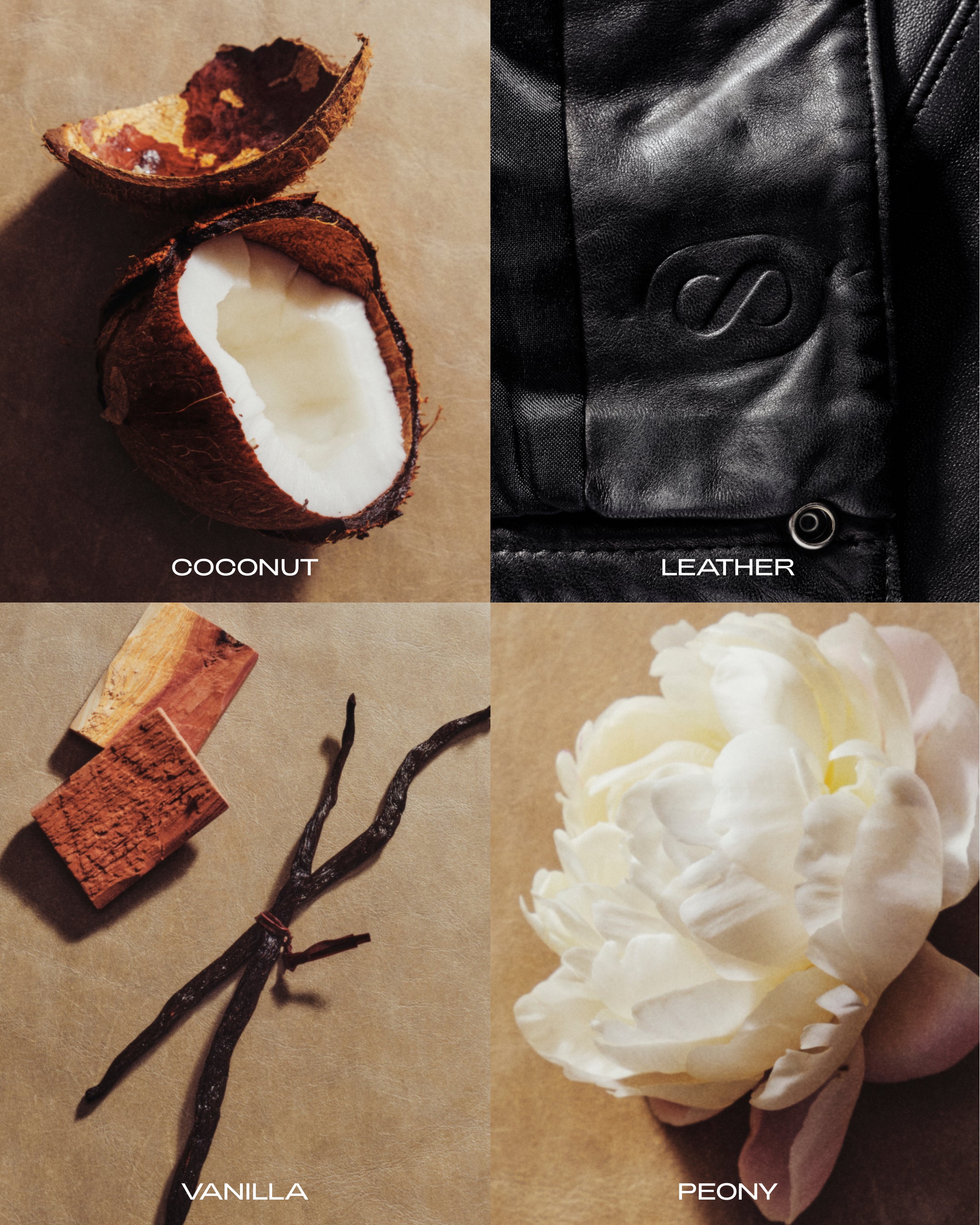 SIDIA-Braless: The Solid Perfume-Fragrance-FFSP00MT0-BR01-av-2-The Detox Market | 