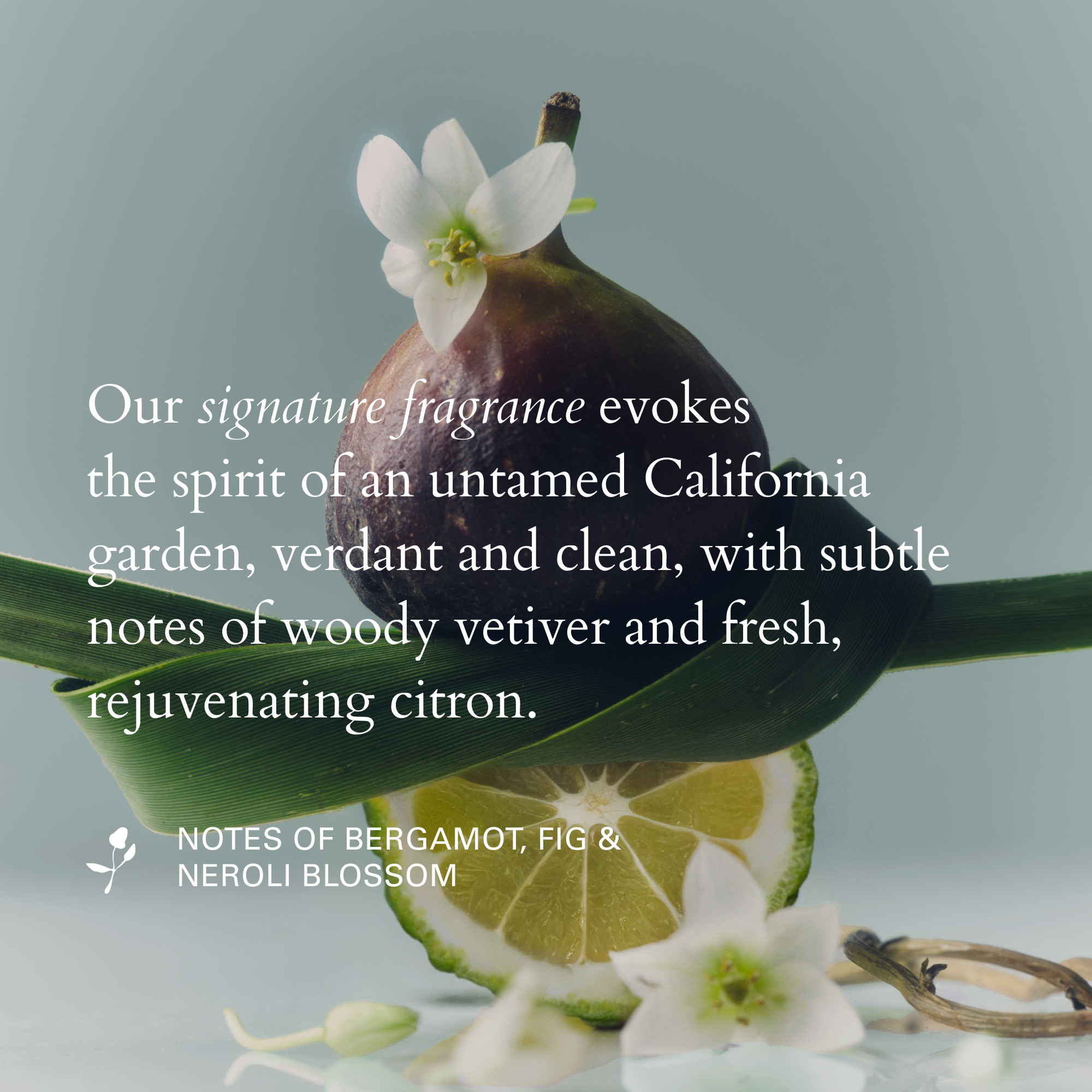 RŌZ-Salt Scalp Scrub Exfoliating Detox Shampoo-Hair-FGRZSCSCB0000_09_1-The Detox Market | 