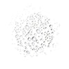 Ursa Major-Forest Fix Spray Deodorant-Body-ForestFixSprayDeo_04_ffe4414d-8b98-47c4-9be6-669286c27669-The Detox Market | 