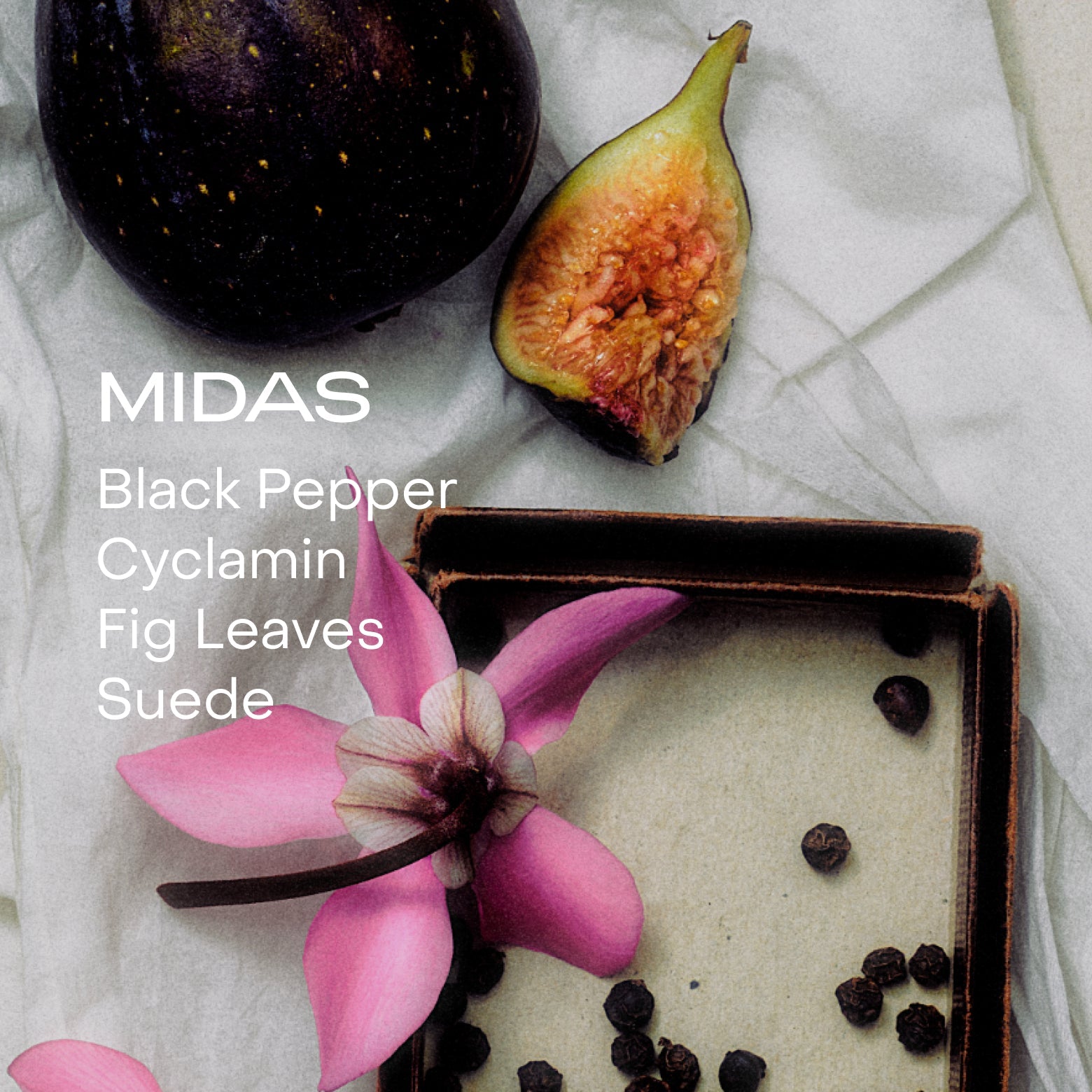 SIDIA-The Solid Perfume - Midas-Fragrance-Frame627923-The Detox Market | 