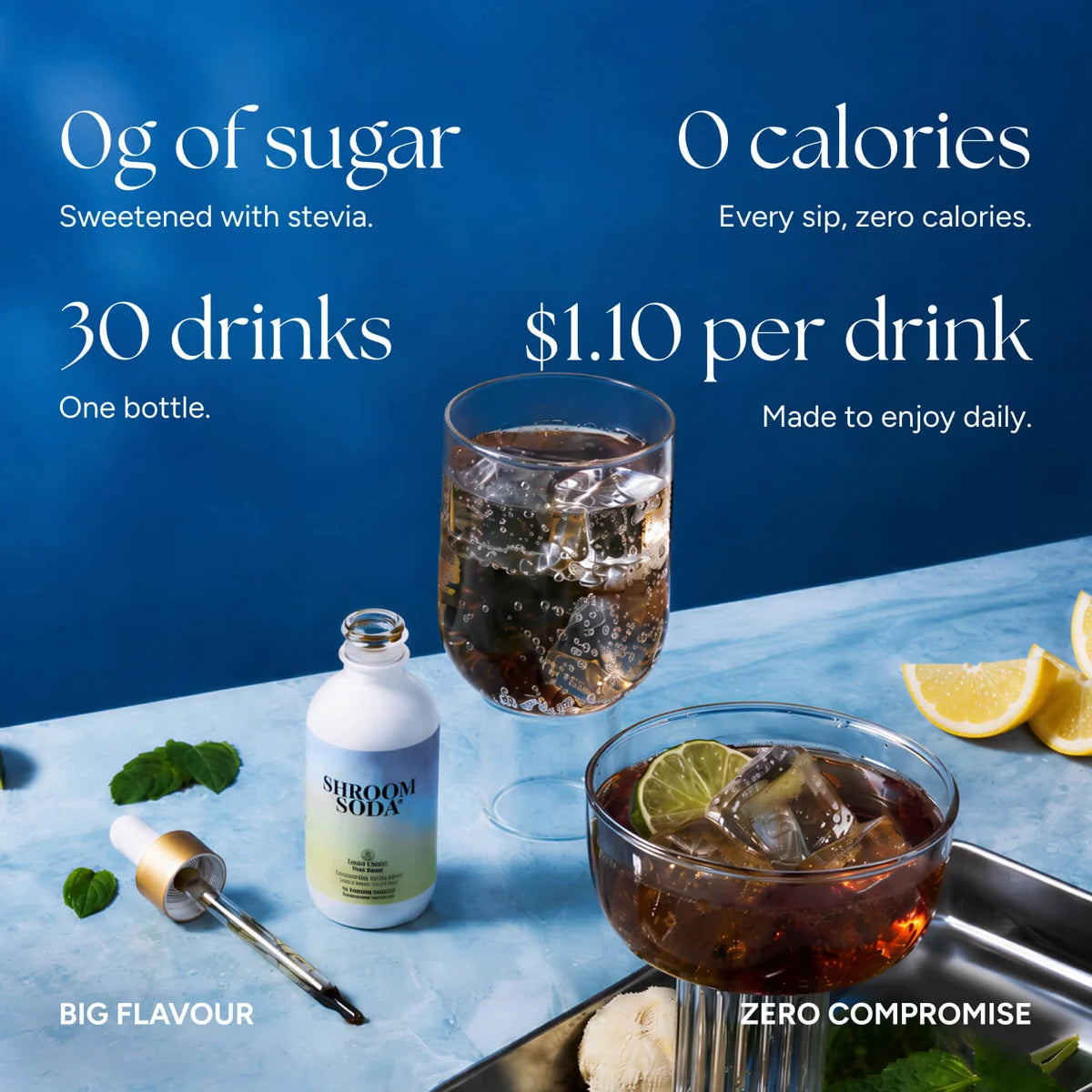 Ananda Elixirs-Shroom Soda-Wellness-Frame_8-The Detox Market | Always
