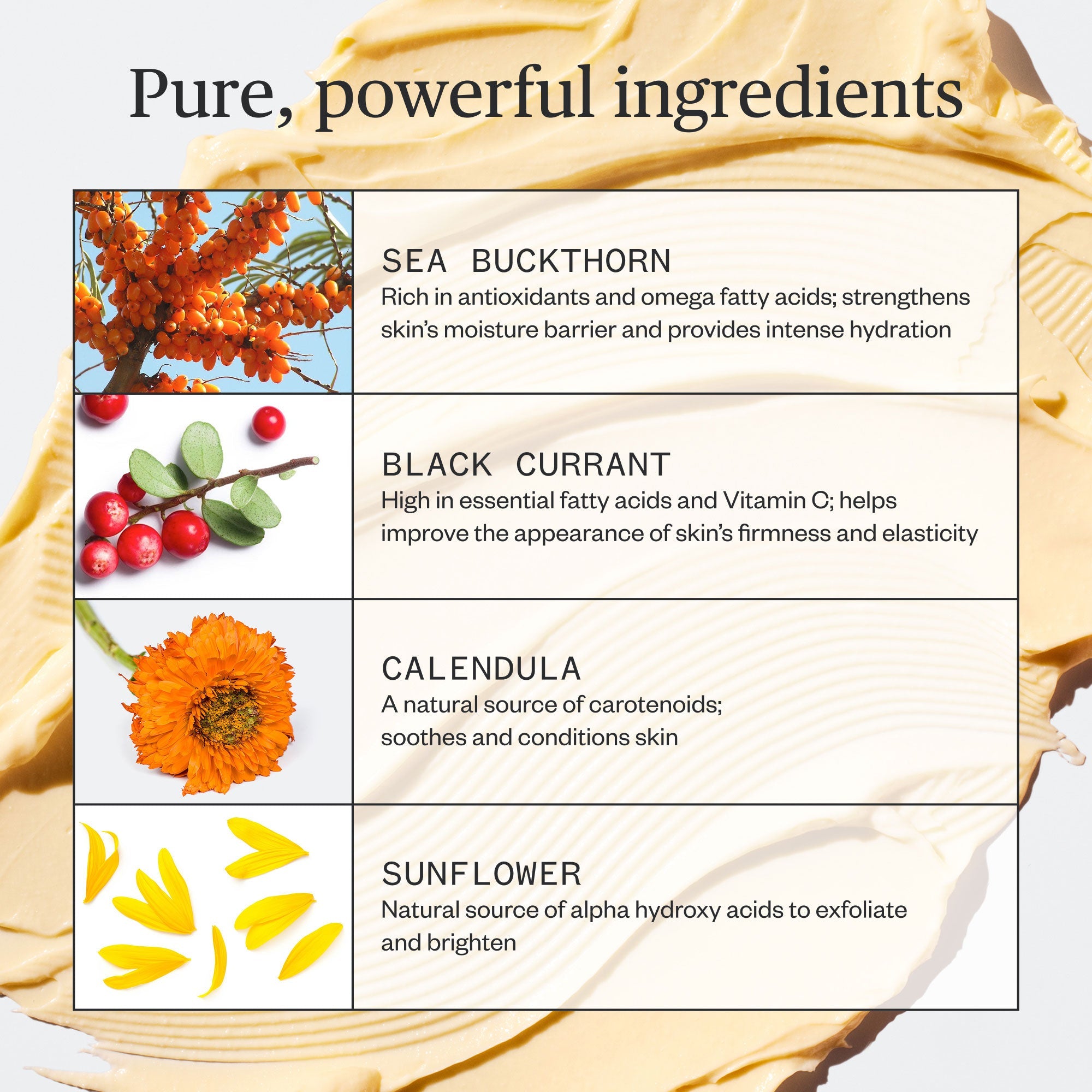 Ursa Major-Golden Hour Recovery Cream-Skincare-Golden-Hour-Recovery-Cream-08-The Detox Market | 