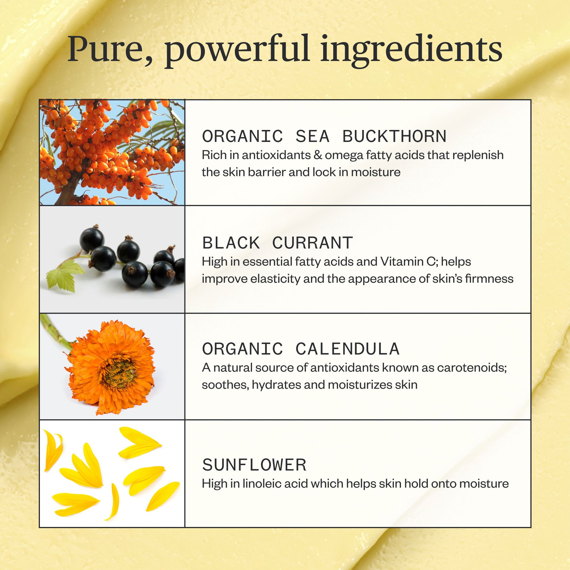 Ursa Major-Golden Hour Recovery Cream-Skincare-Golden-Hour-Recovery-Cream-11-The Detox Market | 