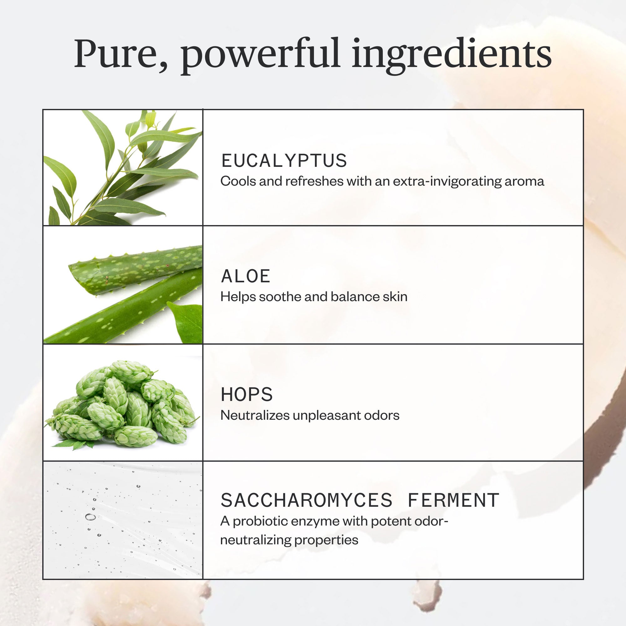 Déodorant Hoppin' Fresh
