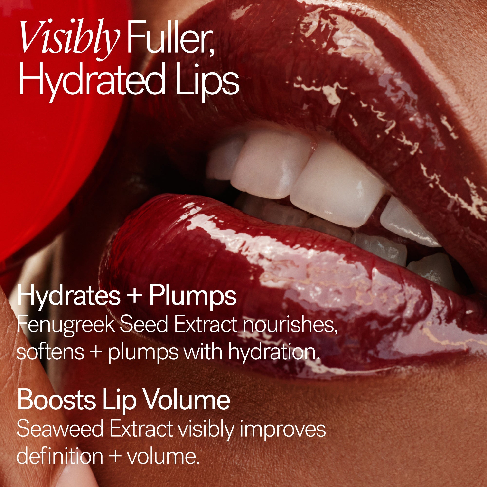 ILIA-Overglaze Hydrating Lip Gloss-Makeup-ILIAOverglazeHydratingLipGloss_2026_Ingredients_2000x2000_f532f86e-d16c-4376-b68a-299319e8d501-The Detox Market | Always