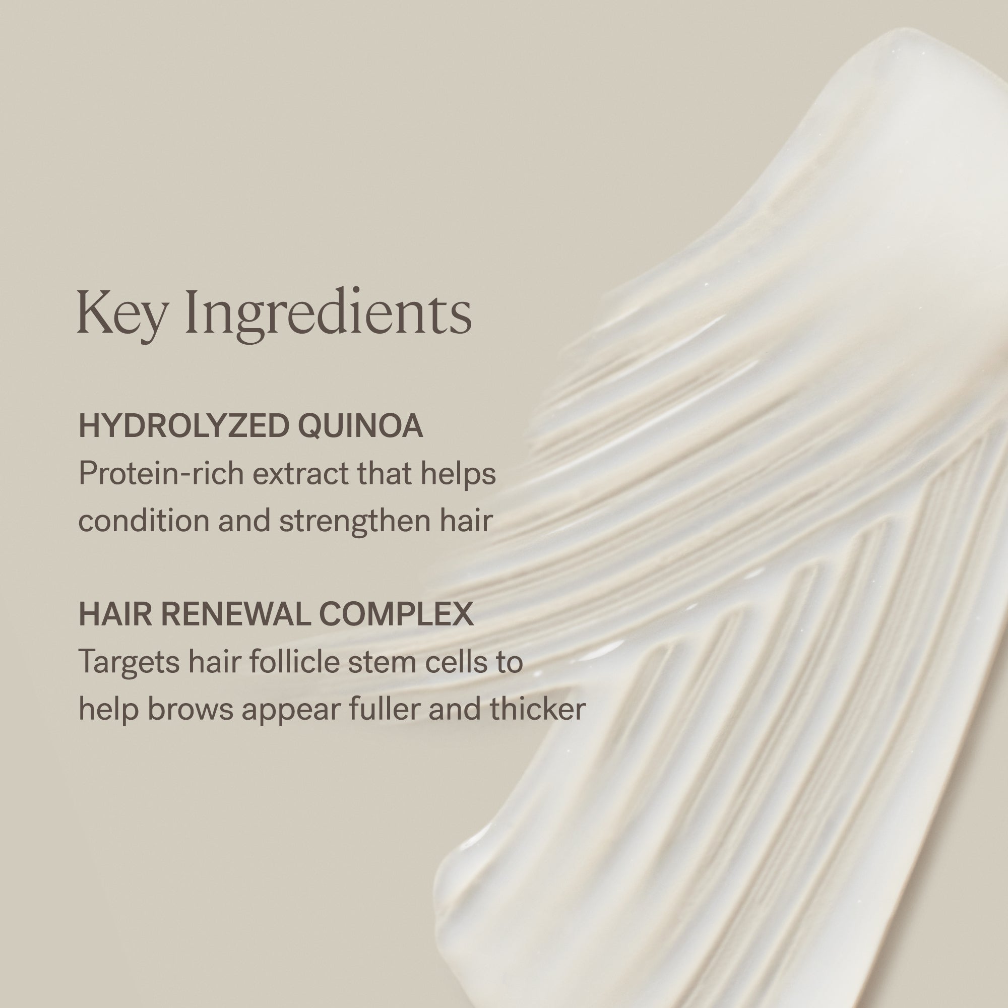 In Frame Brow Gel - Clear - Makeup - ILIA - ILIA_2023_BrowGel-KeyIngredients_2000x2000_1305d86d-2480-4826-a649-82e0734c4fff - The Detox Market | 