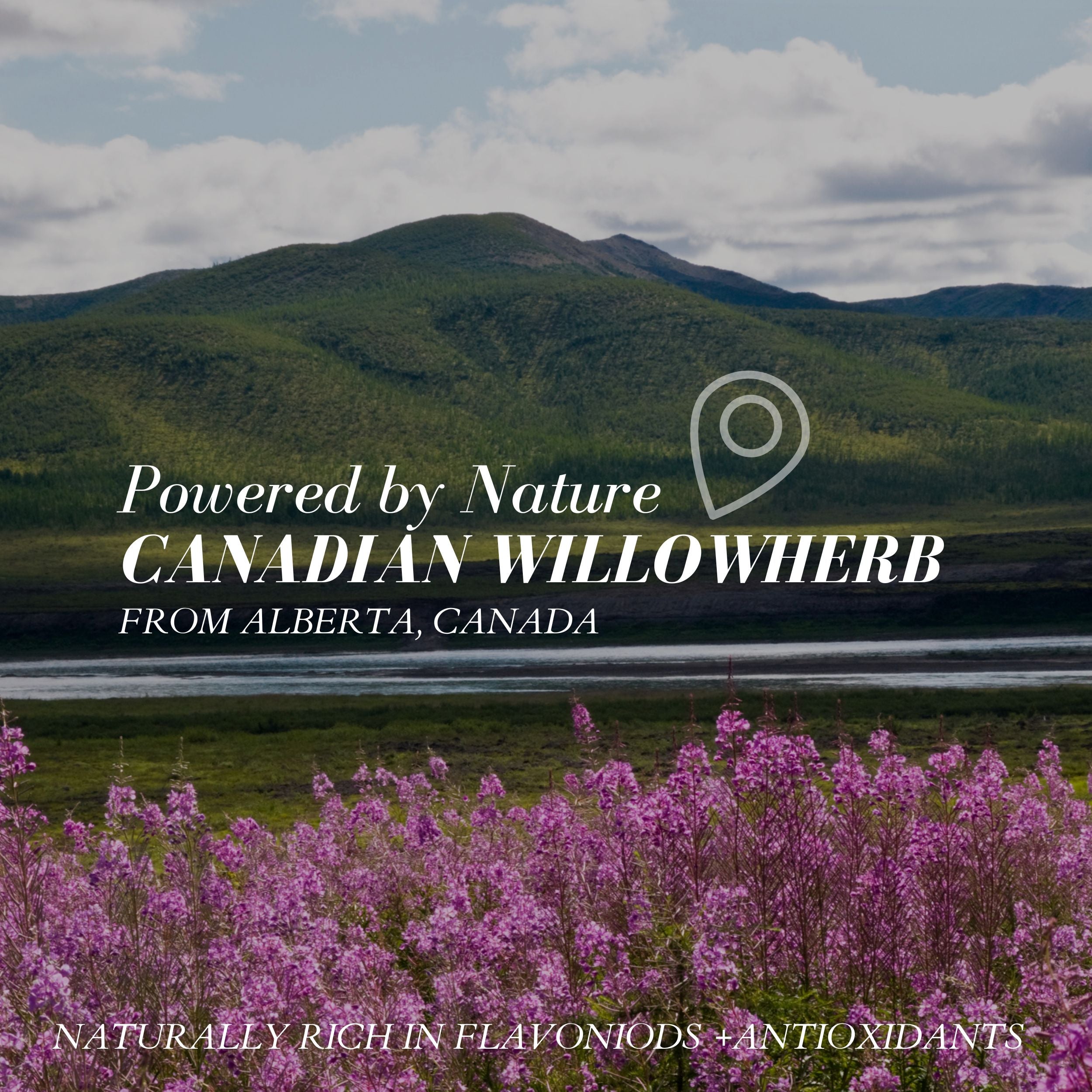 Fitglow Beauty-Birch Hyaluronic Electrolyte Quench + Calm Serum-Skincare-IMAGE_03_BirchHyaluronicSerum_850042717295-The Detox Market | 