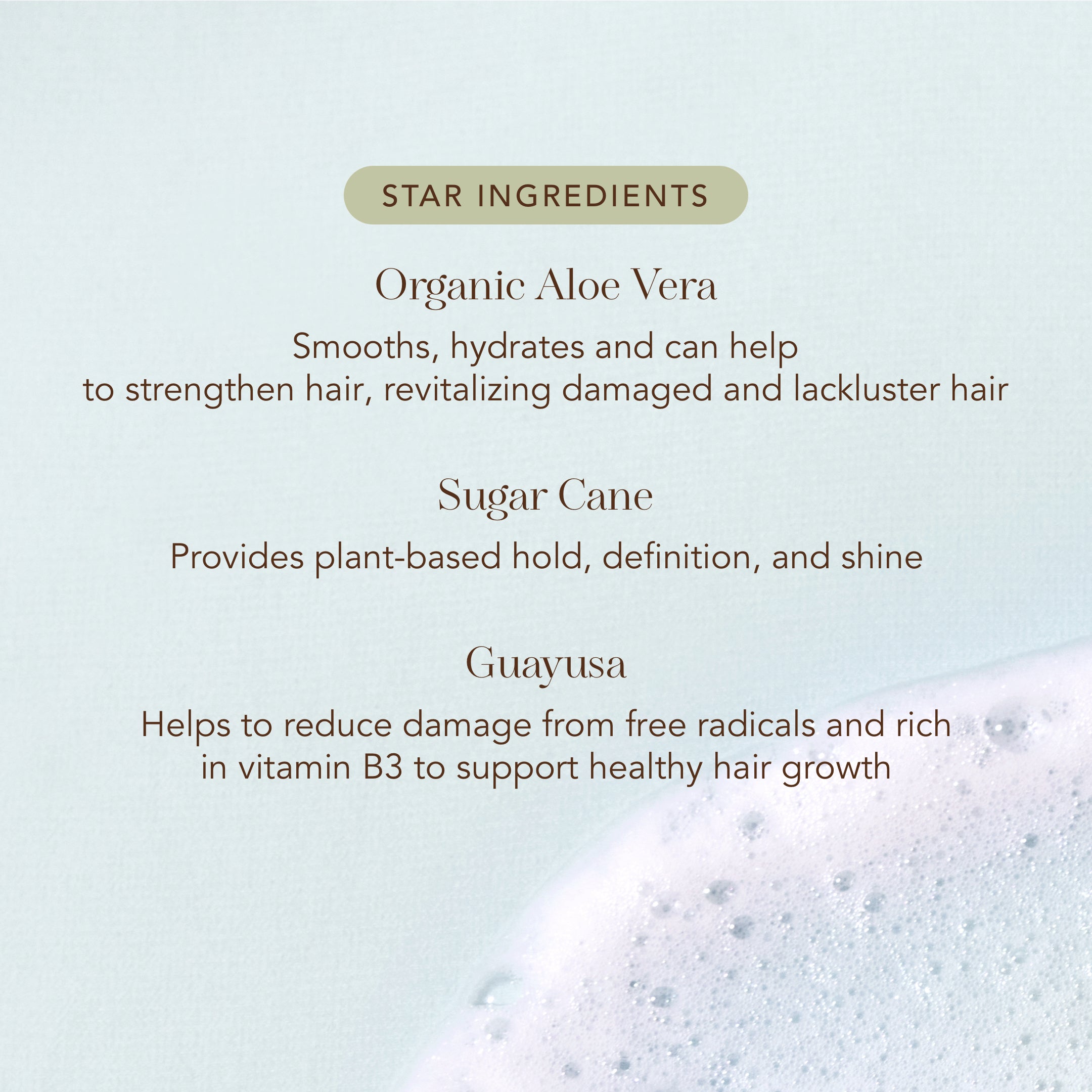 Rahua-Aloe Vera Hair Mousse-Hair-Ingredients_3d046cd2-b02c-44c9-880d-d22382d31ff7-The Detox Market | 