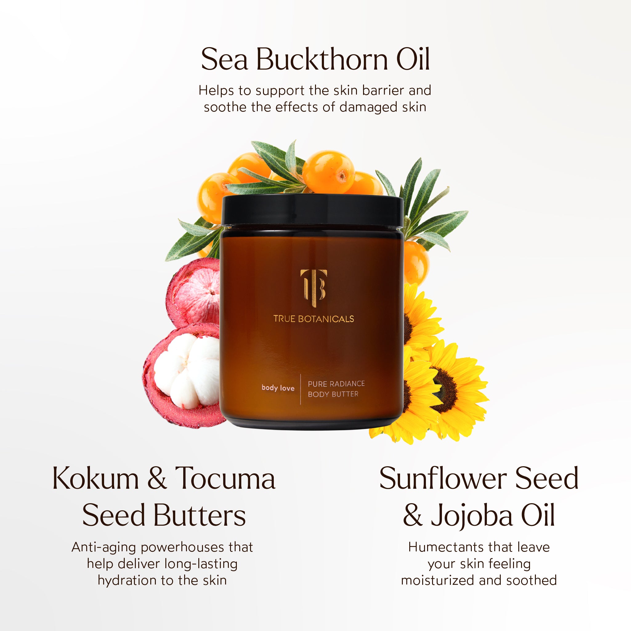 True Botanicals-Pure Radiance Body Butter-Body-Ingredients_BodyButter_2048x2048_2439c7b4-195b-4406-90e9-a174d4b60e83-The Detox Market | 