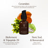 True Botanicals-RENEW Repair Nightly Treatment-Skincare-Ingredients_RenewTreatment_2048x2048_24ad6de4-3fcd-4b4d-8387-3e9817e032a0-The Detox Market | 