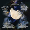 KYPRIS Beauty-Ad Astra: Nighttime Eye Cream Emulsion-Skincare-KYPRIS_ImageWithIngredients_AdAstra_GS5_5-The Detox Market | 