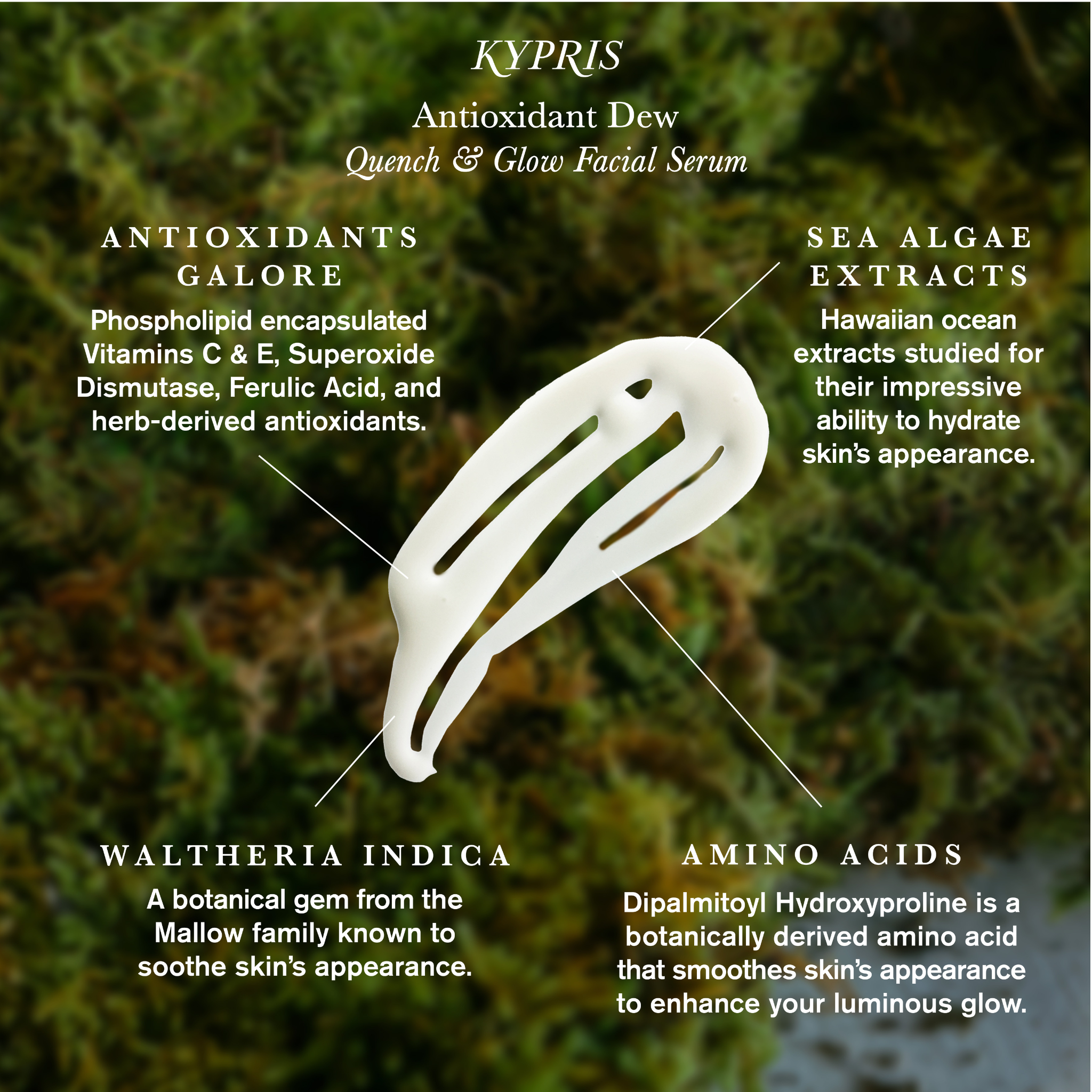 KYPRIS Beauty-Antioxidant Dew-Skincare-KYPRIS_ImageWithIngredients_AntioxidantDew_GS5_5-The Detox Market | 