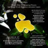 KYPRIS Beauty-Beauty Elixir II-Skincare-KYPRIS_ImageWithIngredients_BeautyEIixirII_GS5_5-The Detox Market | 