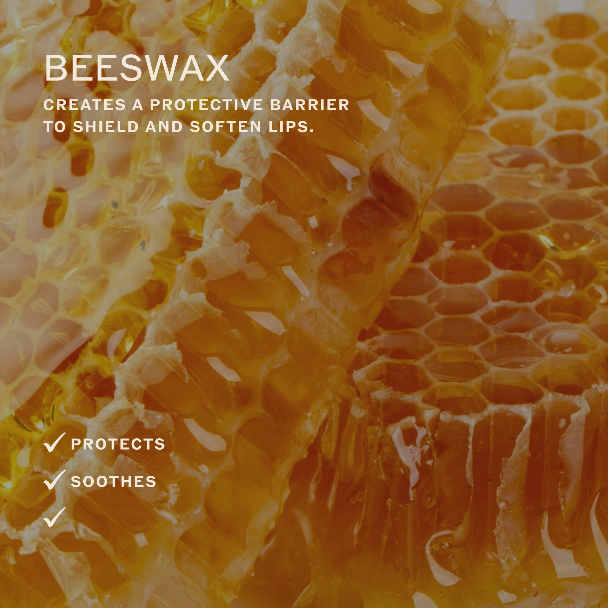 Sahajan-Lip Karma Vanilla-Skincare-LIPKARMA8_d490b47d-1024-43a4-a259-9ef016819fc3-The Detox Market | 