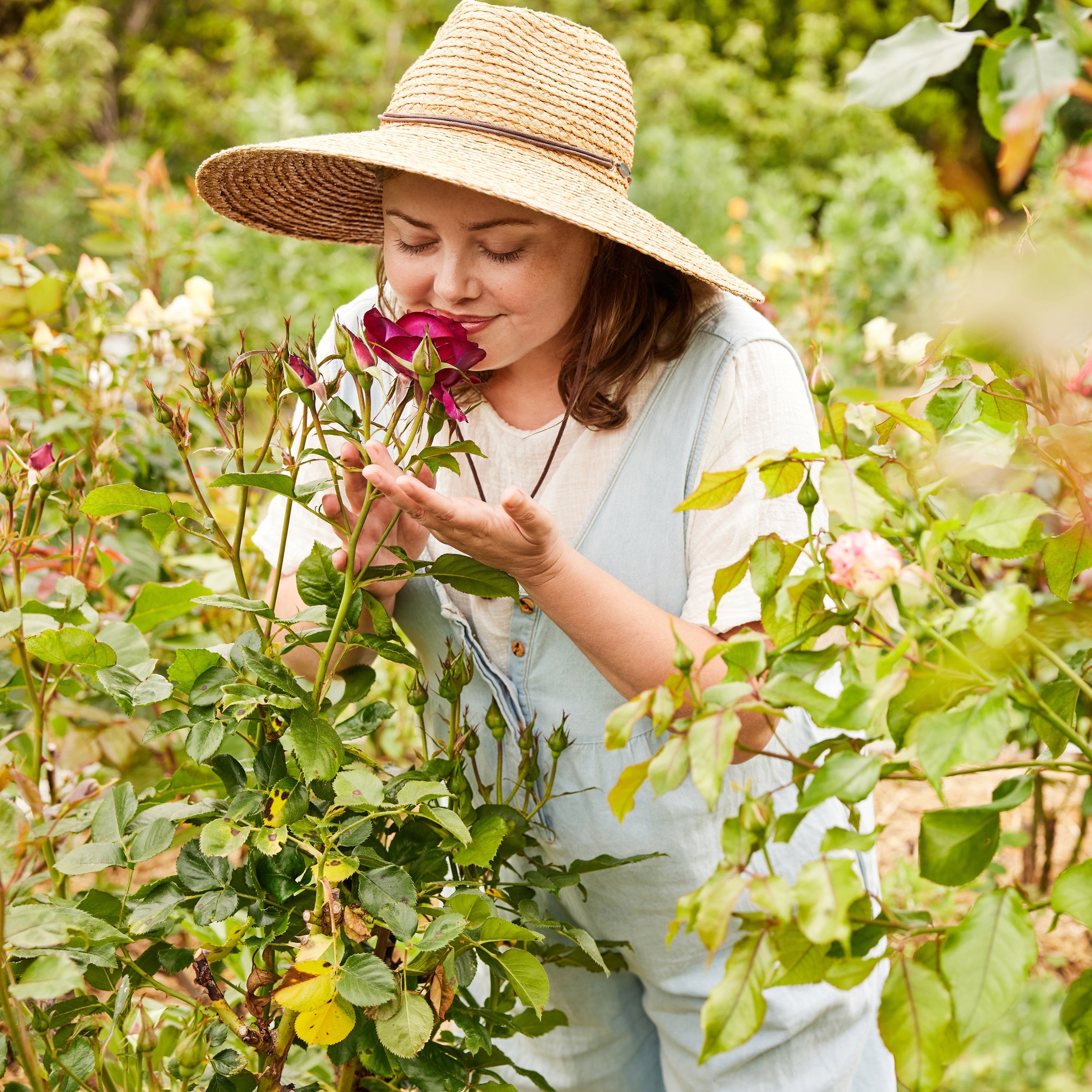 Petal Alchemy: Strengthen + Flourish