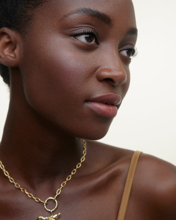 Le Fard Blush Powder