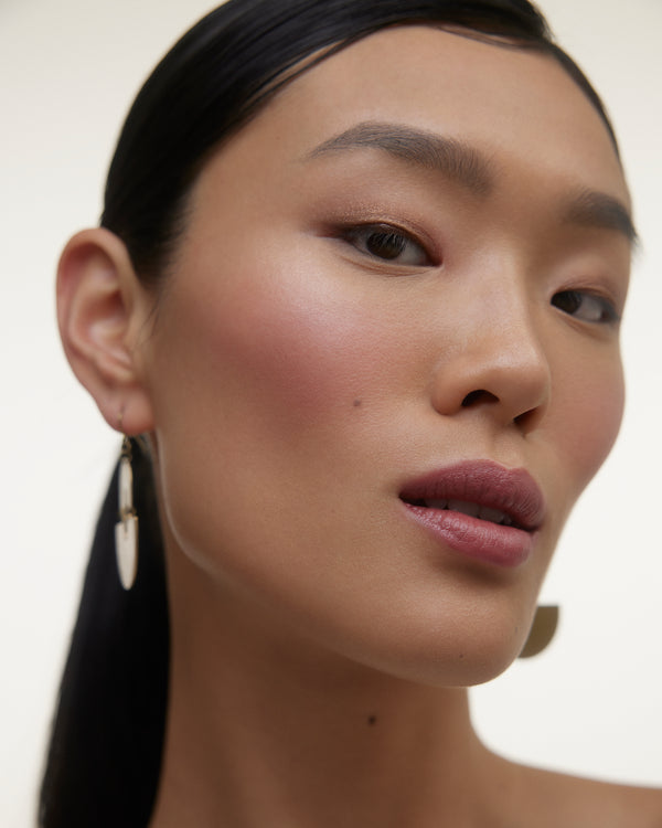 Le Fard Blush Powder