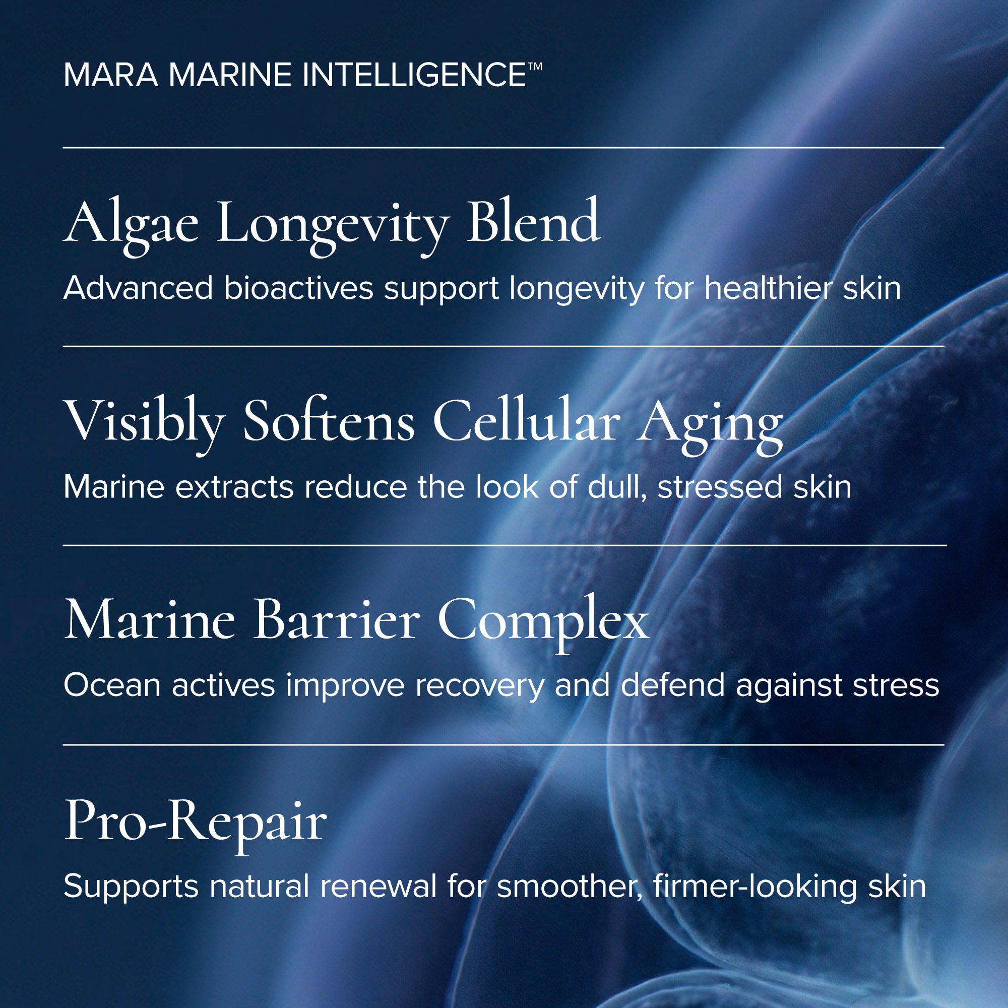 MARA-Evening Primrose + Green Tea Algae Retinol Face Oil-Skincare-MARA-ARO-30_13-The Detox Market | 