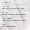 MARA-Sea Moss + Stem Cells Seadream Firming Algae Créme-Skincare-MARA-SDAC-50_4_641ea711-ac41-4188-8f19-5fae73ccbed0-The Detox Market | 