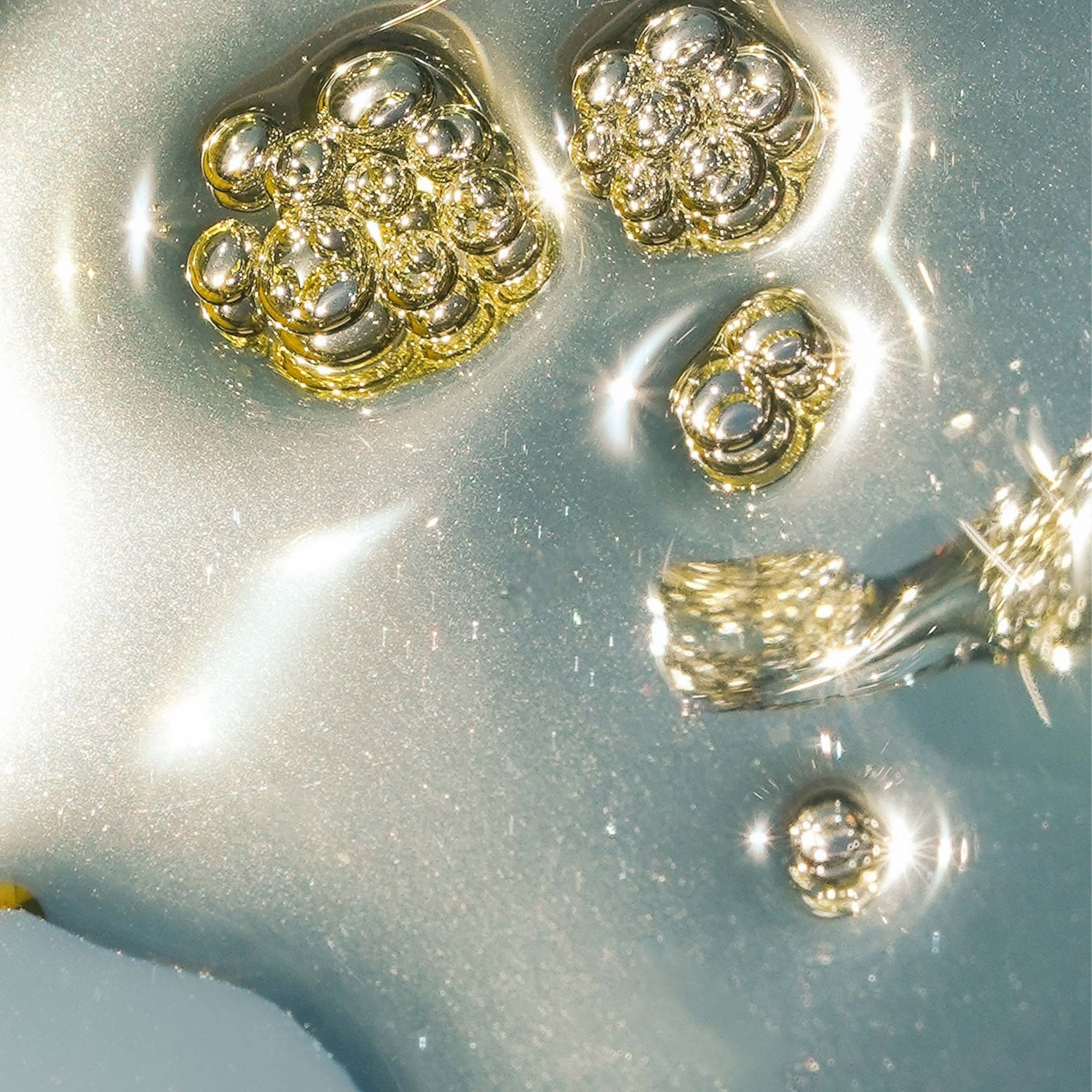 MARA-Algae + Moringa Universal Face Oil-Skincare-MARA-UFO-15_6-The Detox Market | 