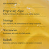 MARA-Algae + Moringa Universal Face Oil-Skincare-MARA-UFO-35_5-The Detox Market | 