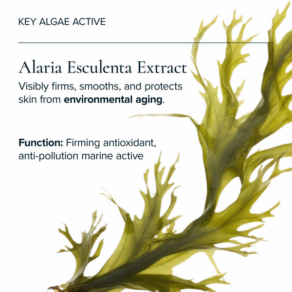 MARA-Algae + Moringa Universal Face Oil-Skincare-MARA-UFO-35_9-The Detox Market | 