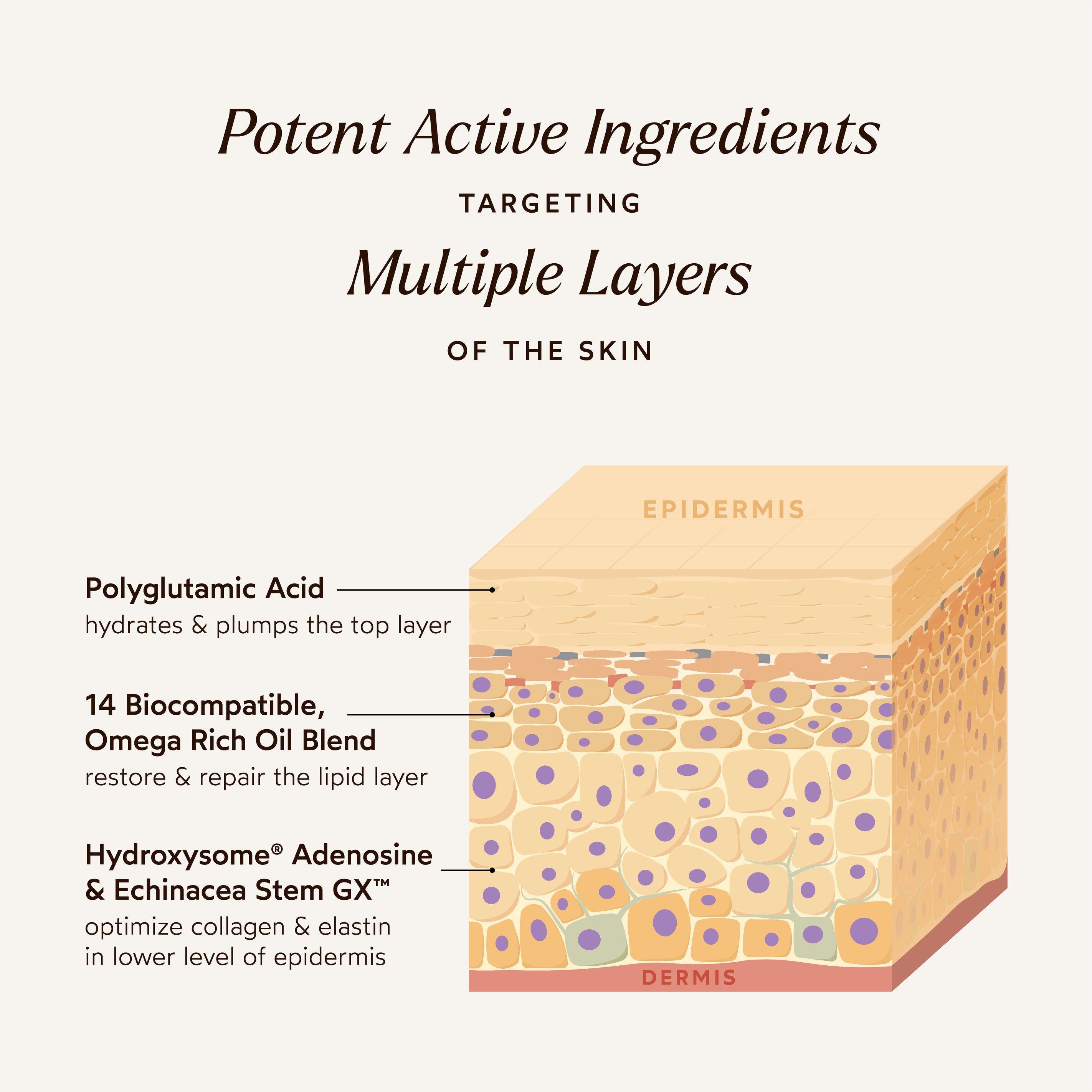 True Botanicals-Pure Radiance Supreme Eye Cream-Skincare-S-W-D-AWEC-R_4-The Detox Market | 