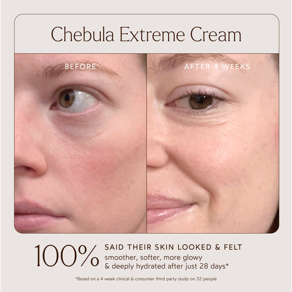 True Botanicals-Renew Chebula Extreme Cream-Skincare-S-W-D-JETM-R-4_460eb495-bb6d-49a3-ad2b-24af0877c448-The Detox Market | 
