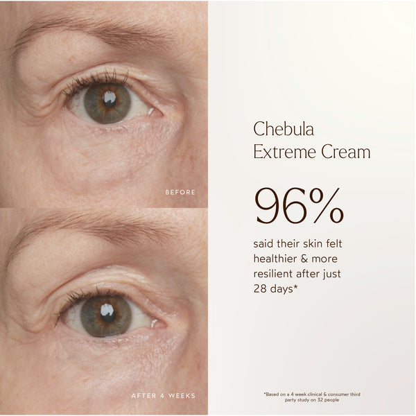 True Botanicals-Renew Chebula Extreme Cream-Skincare-S-W-D-JETM-R-5_d5926804-6a04-404e-80e8-b34763def01d-The Detox Market | 