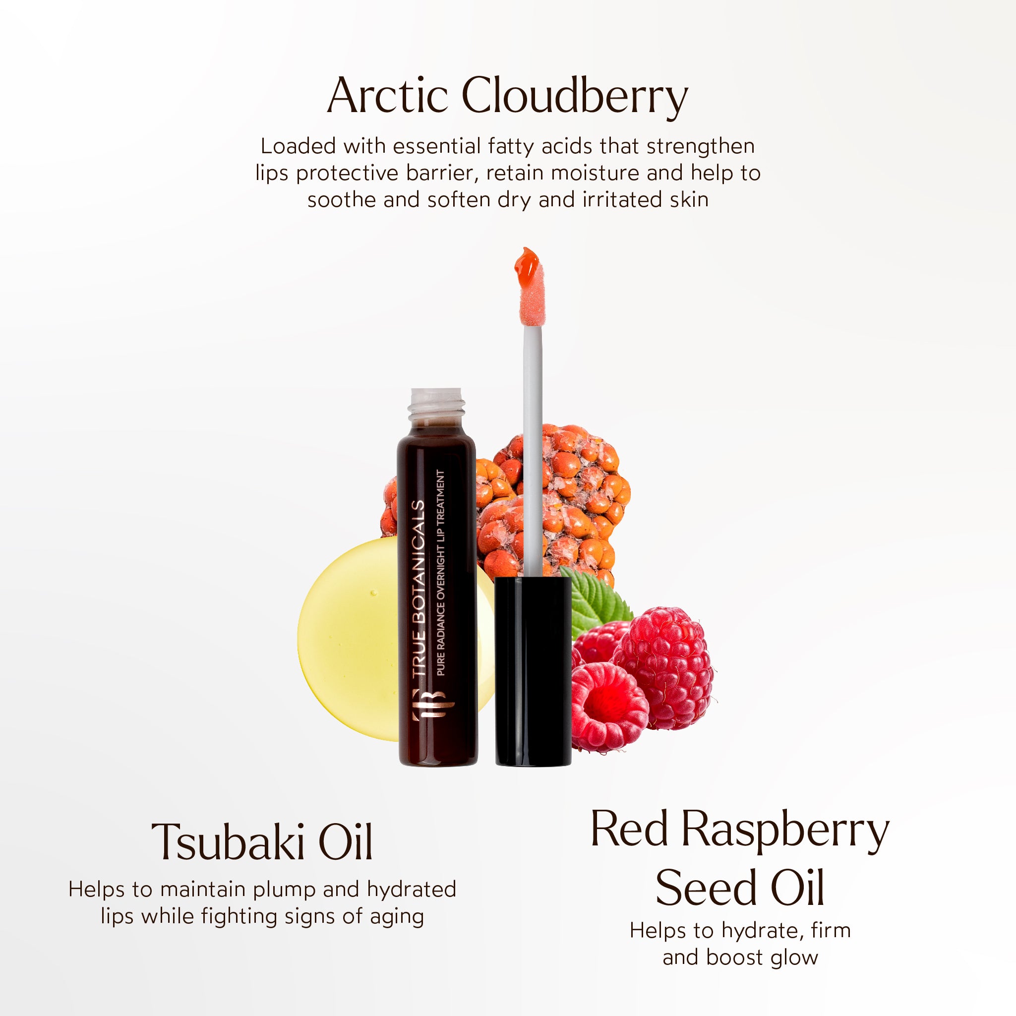 True Botanicals-Pure Radiance Overnight Lip Treatment-Skincare-S-W-D-LP01-R_5_9e181908-b90c-442a-a05c-3f816bf5a133-The Detox Market | 