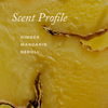 True Botanicals-Mindful Mama Belly & Body Oil-Body-S-W-D-PPFB-R_6-The Detox Market | 