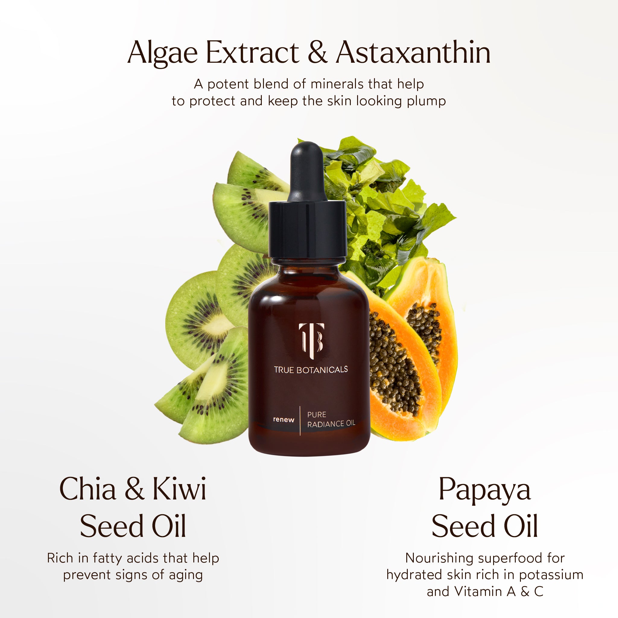 True Botanicals-RENEW Pure Radiance Oil-Skincare-S-W-D-PRR1-R-7_6def5e84-8c89-44b6-a5a3-5830b8b84374-The Detox Market | 